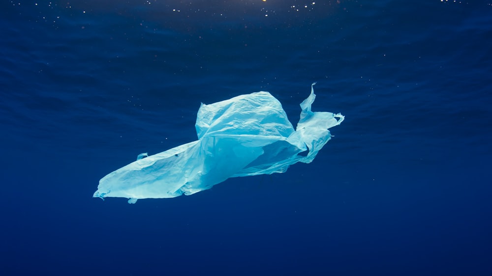 eine Plastiktüte, die im Wasser schwimmt