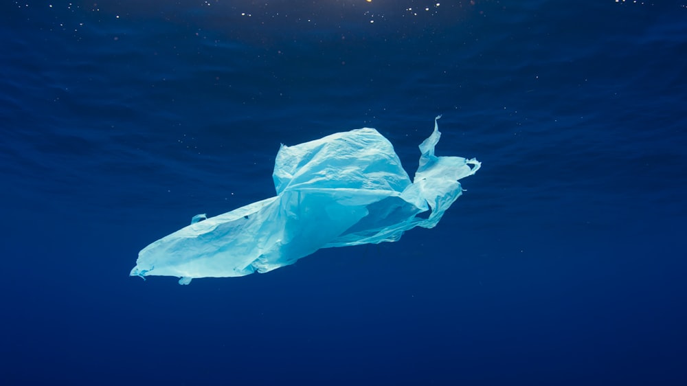 una bolsa de plástico flotando en el agua