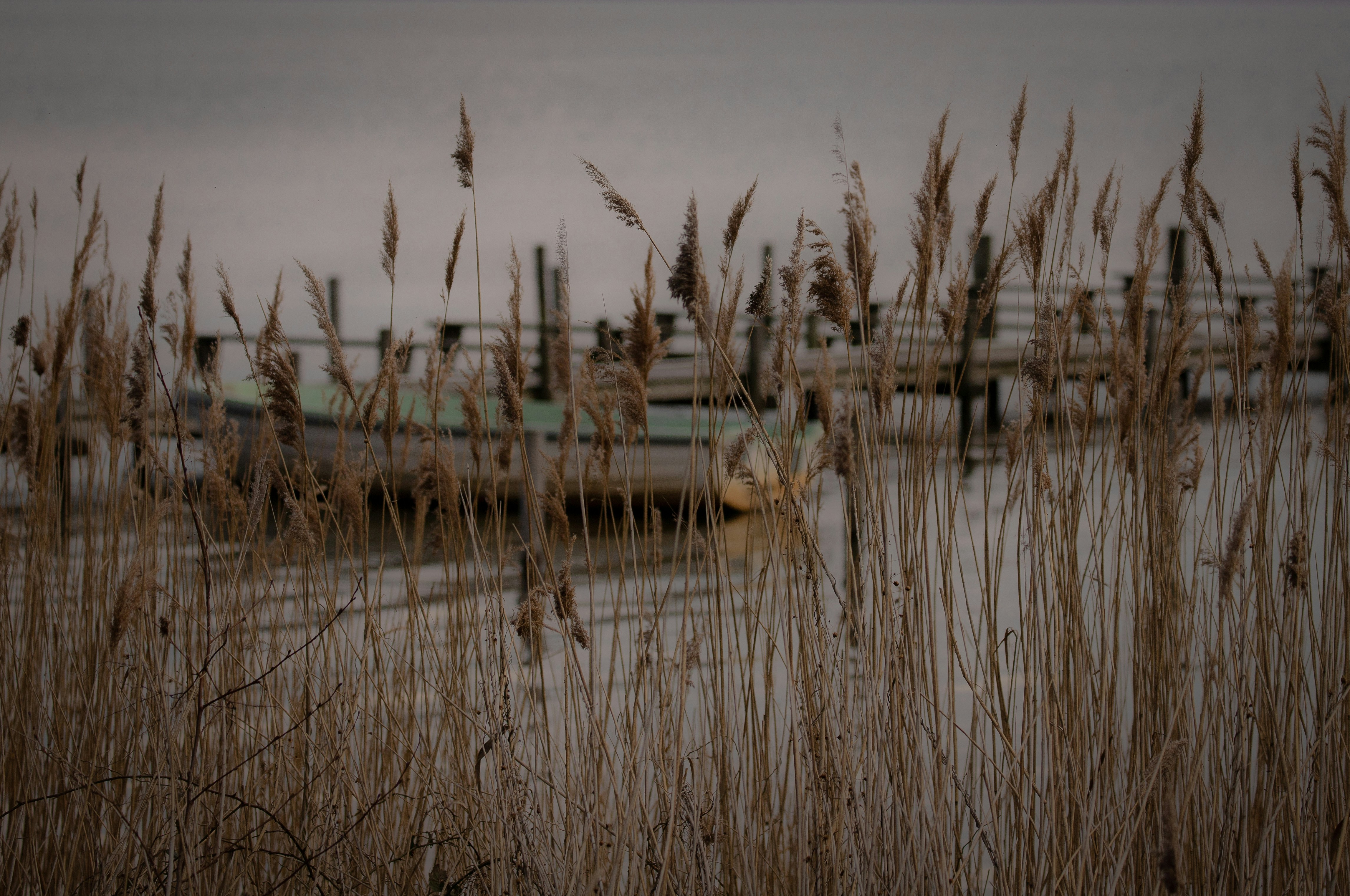 Photo by mariolagr