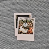 Two polaroid-style photographs are placed on a textured, woven fabric background. The top photograph shows a close-up of branches with small white flowers, and there is a round button with a blue hat illustration and cursive text. The second photograph underneath is partially visible.