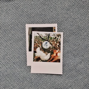 Two polaroid-style photographs are placed on a textured, woven fabric background. The top photograph shows a close-up of branches with small white flowers, and there is a round button with a blue hat illustration and cursive text. The second photograph underneath is partially visible.