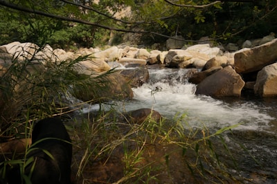 A serene natural landscape with a flowing stream surrounded by large rocks and lush green foliage. The water cascades gently over the stones, creating a soothing atmosphere. Branches and leaves frame the scene, adding depth and a sense of enclosure.