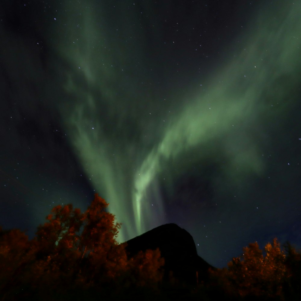 a green and white aurora bore in the night sky