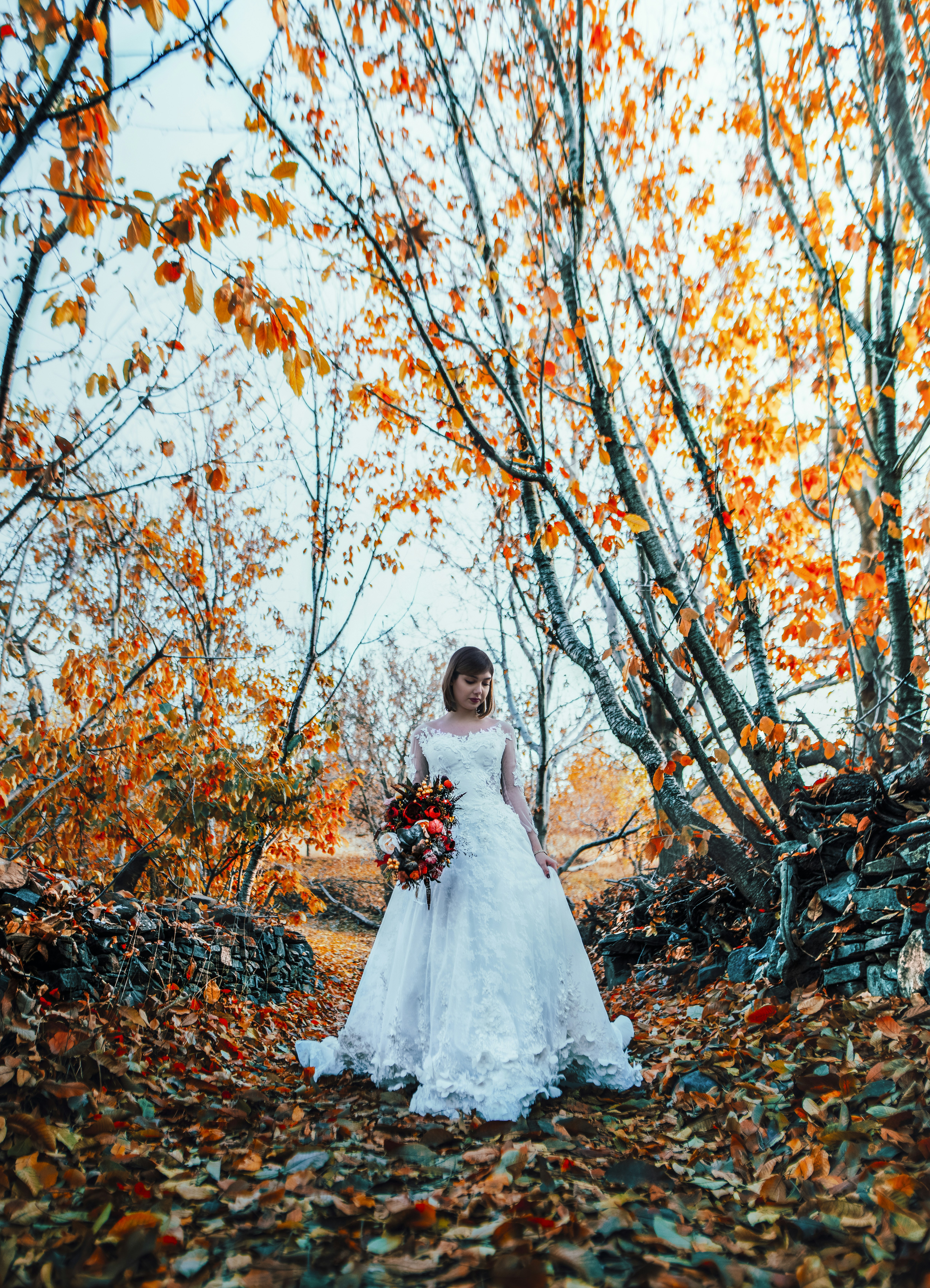 Photo by shahinkhalaji