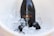 A bottle of sparkling wine labeled 'Maia' nestled in a bucket filled with ice cubes. The bottle appears as a centerpiece, with droplets of condensation indicating its cold temperature.