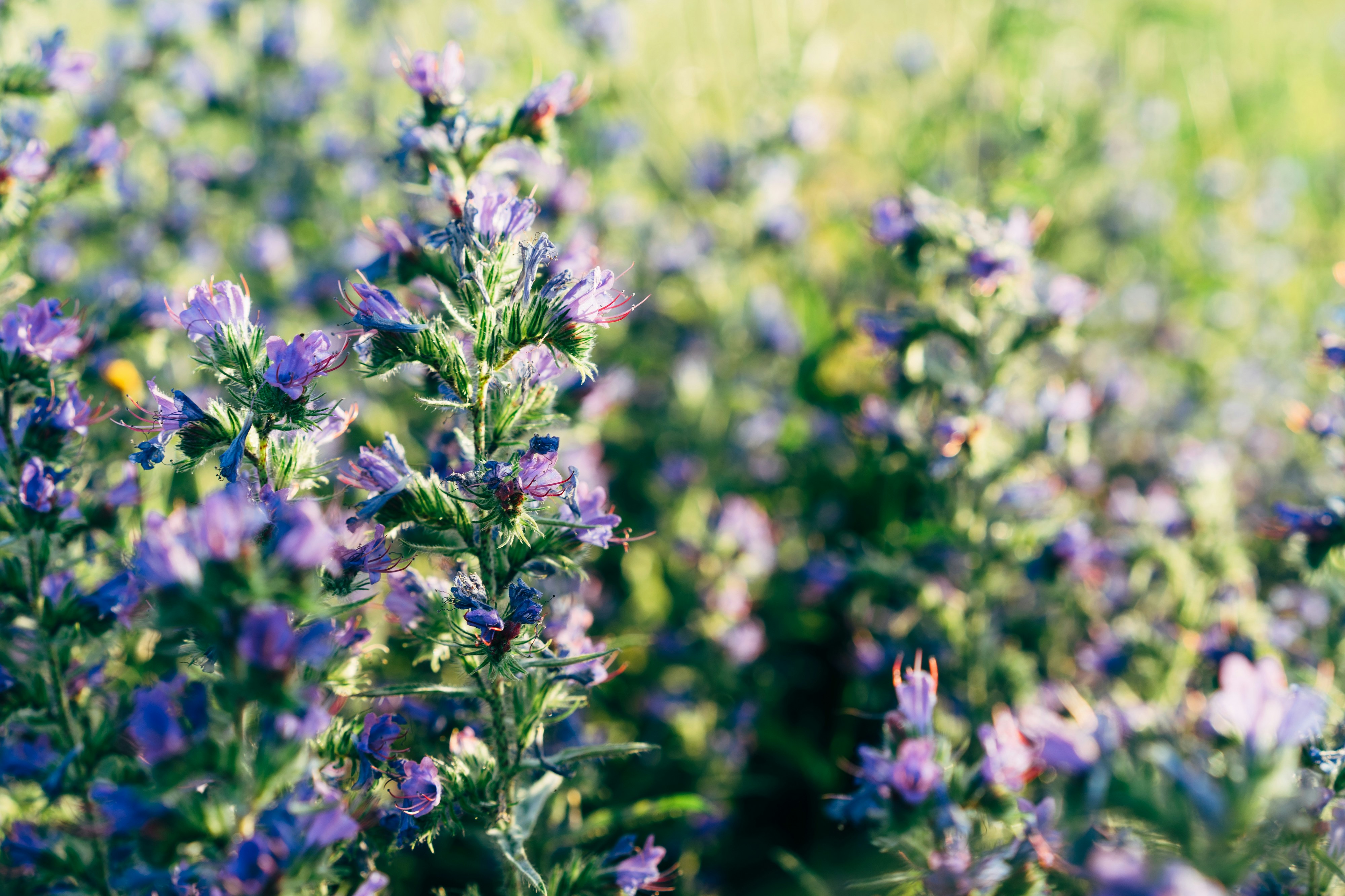 Photo by markuswinkler