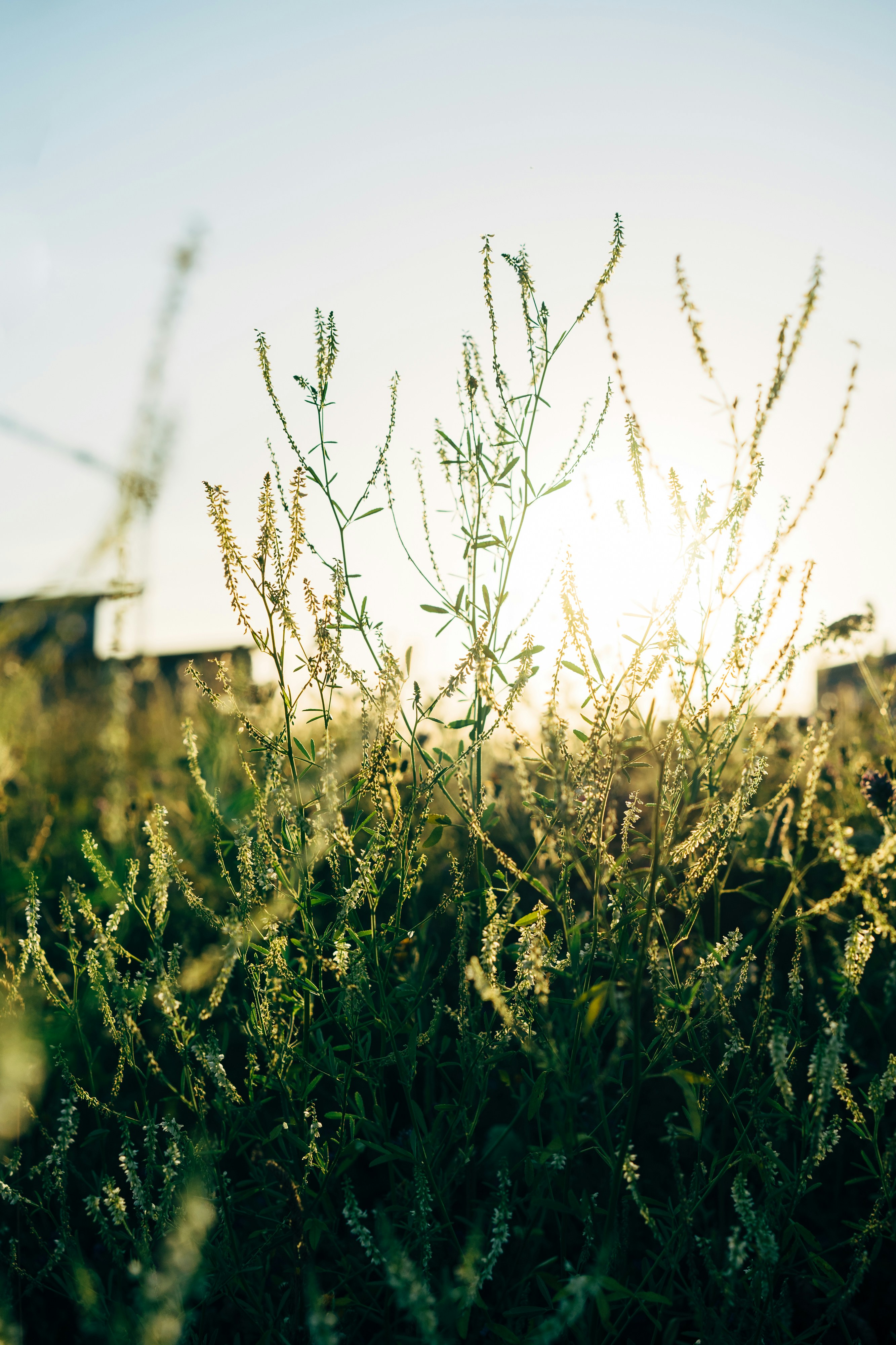 Photo by markuswinkler