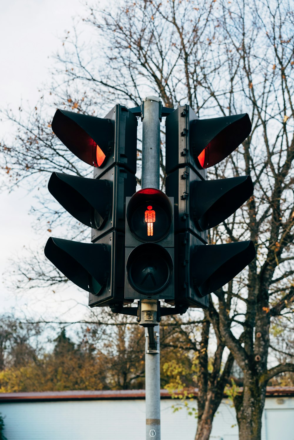 a traffic light on a pole with a tree in the background