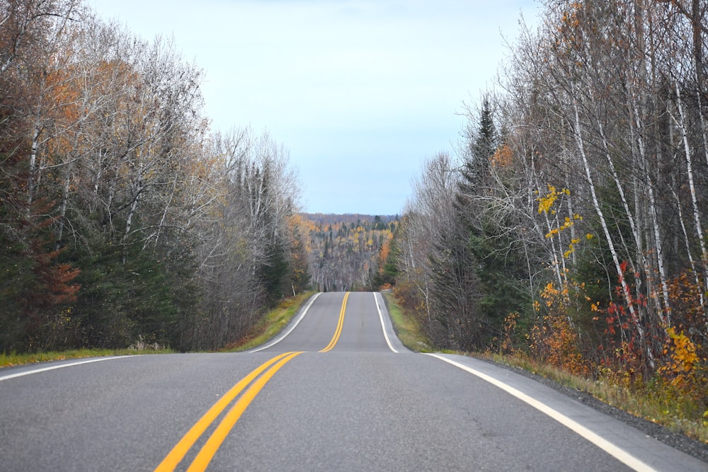 an empty road surrounded by trees in the fall