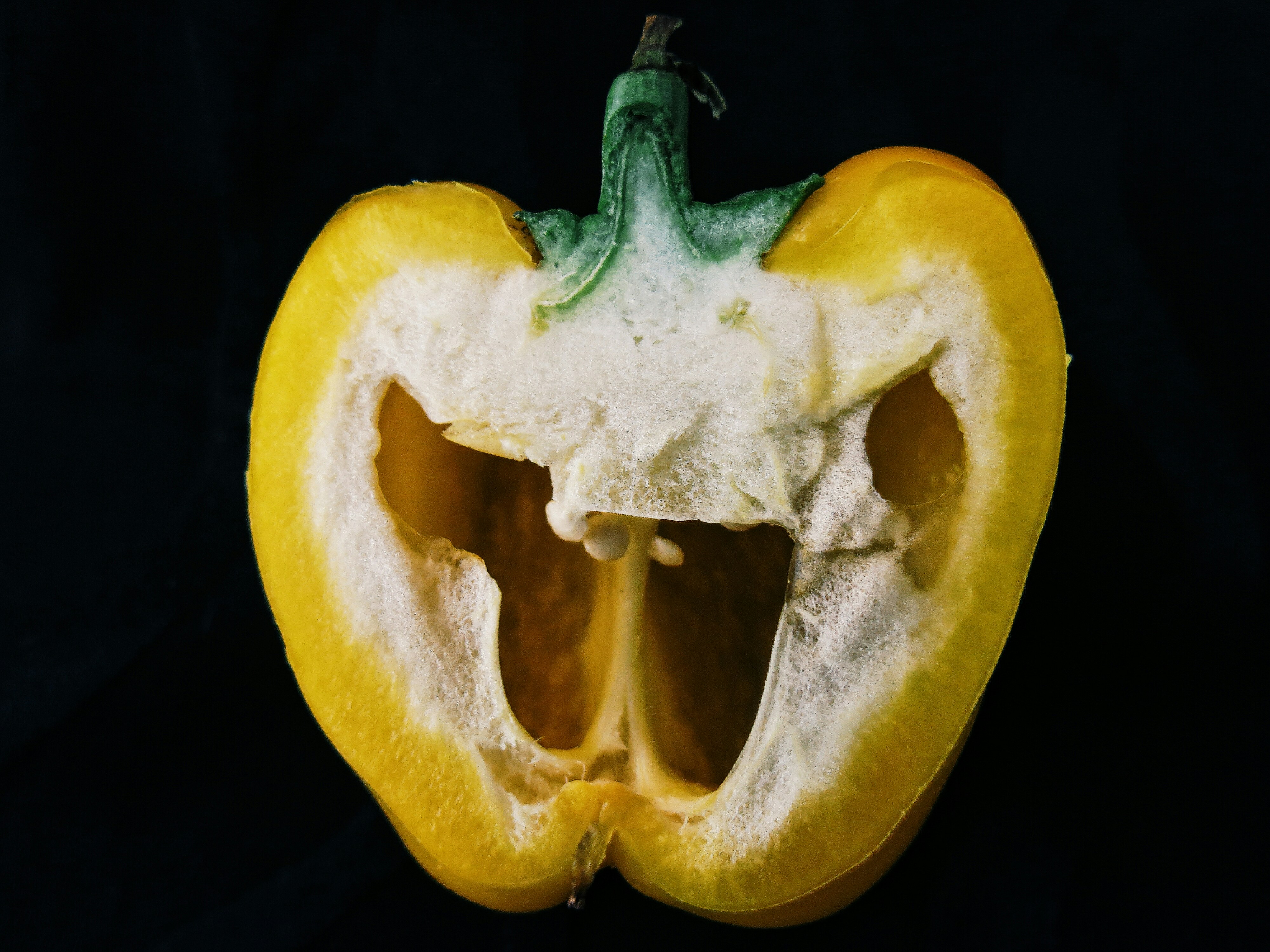 Photo by ssadramonsefi