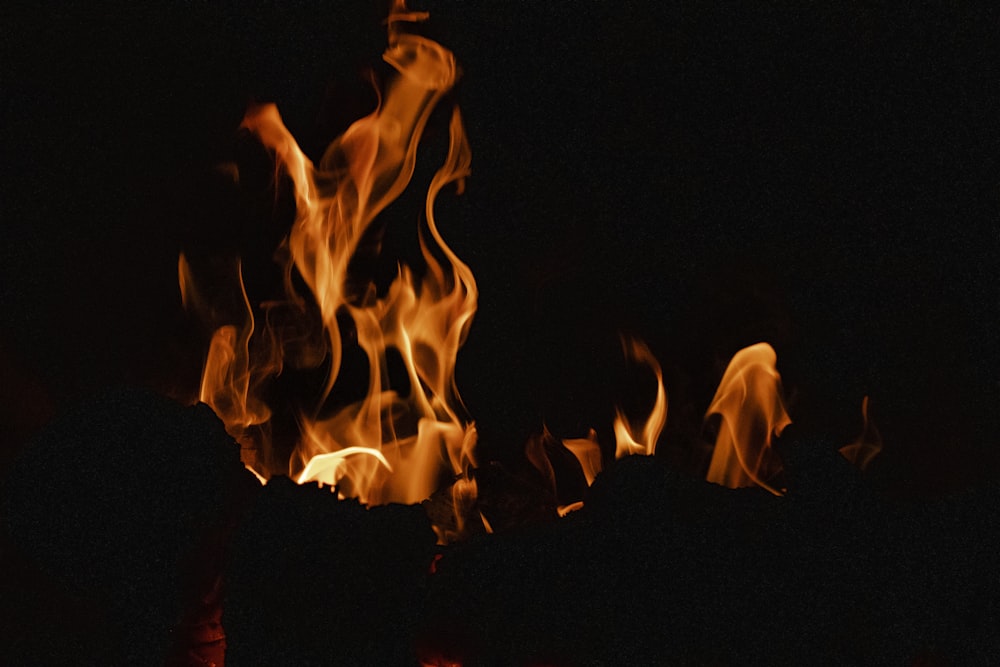 Un primo piano di un fuoco nel buio