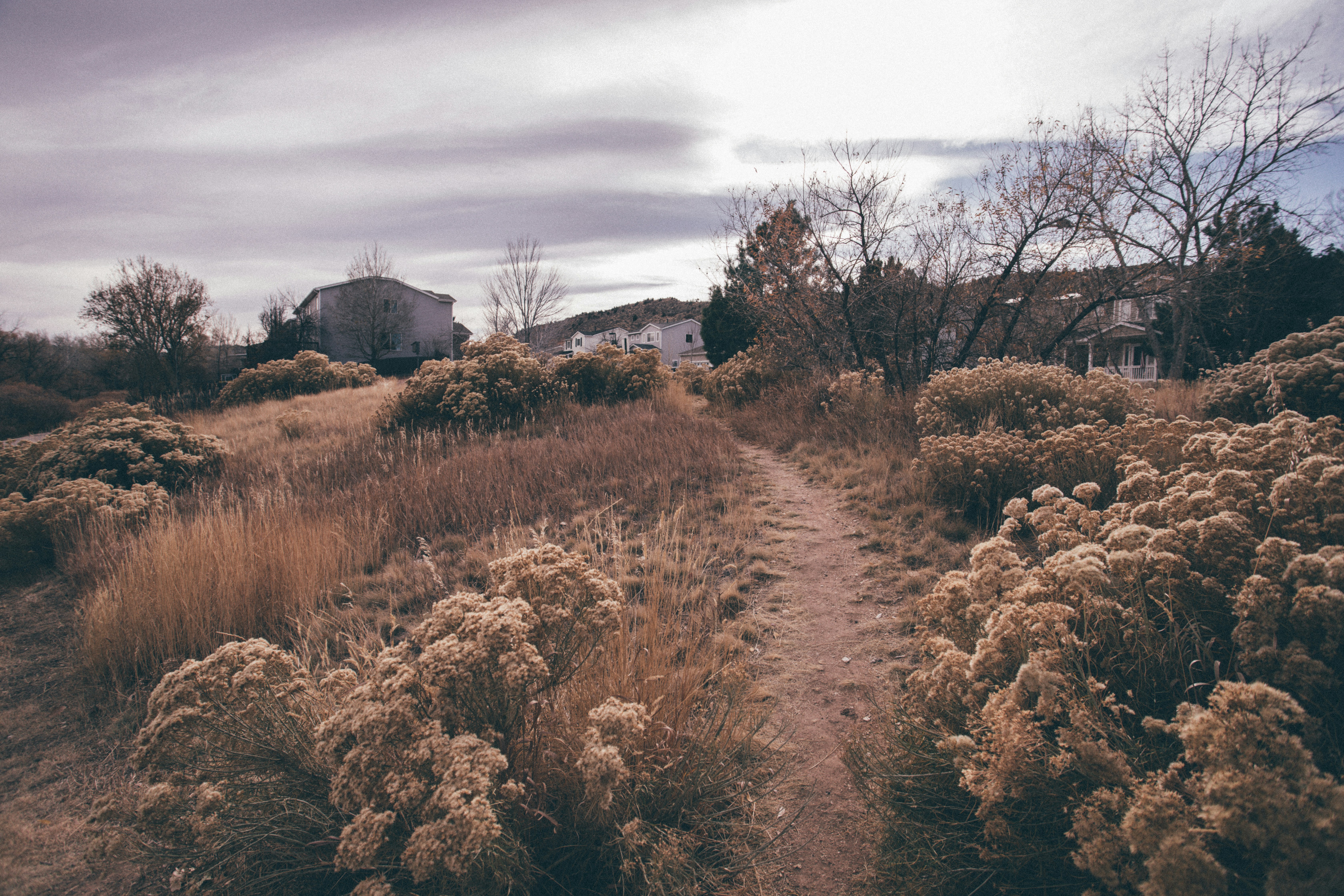 Photo by photosoflogan