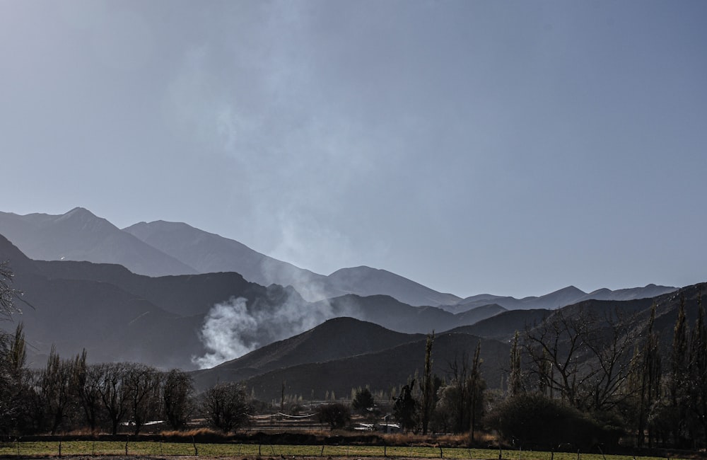 a field with mountains in the background