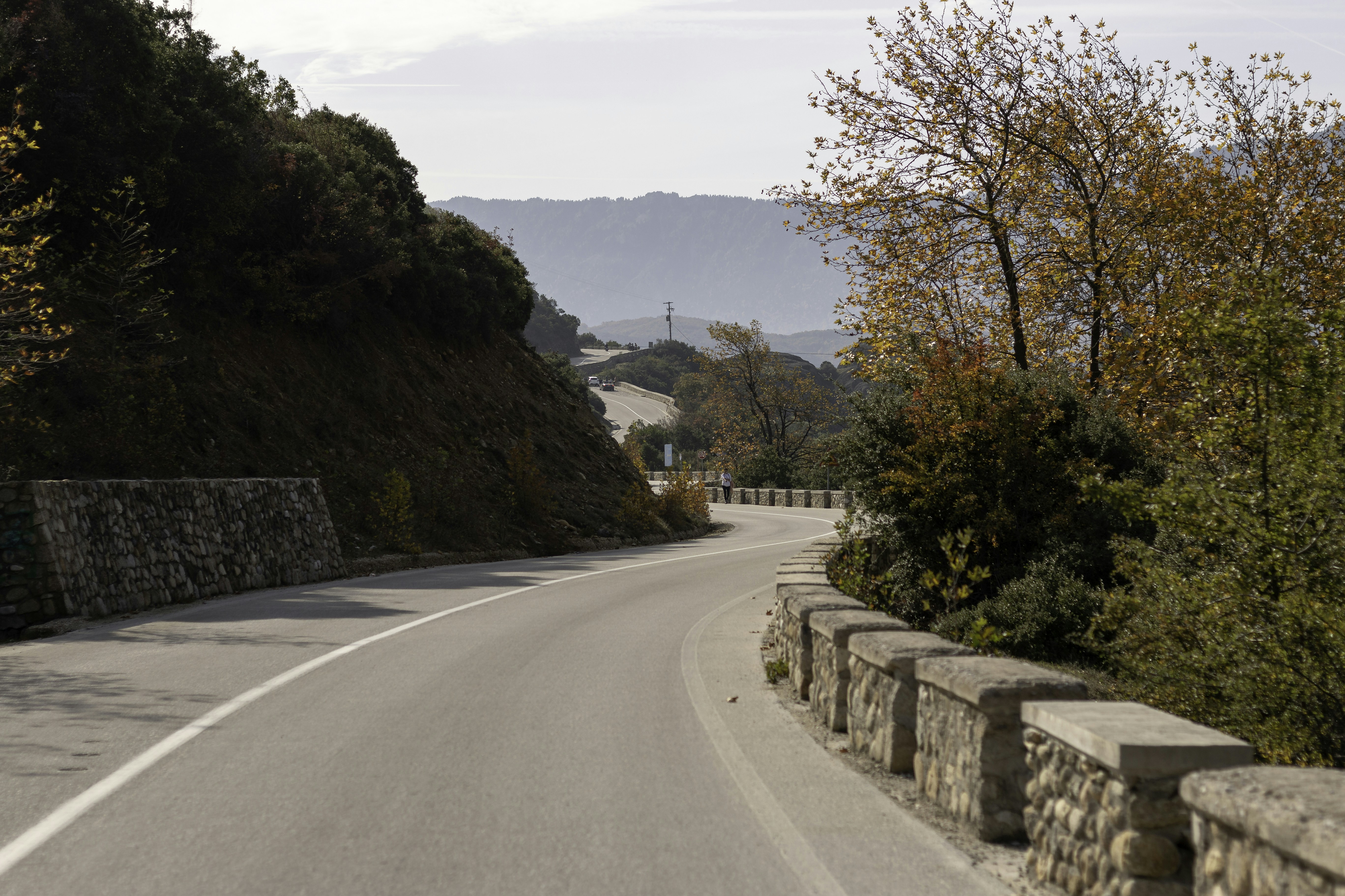 a curved road with a stone wall and trees on both sides