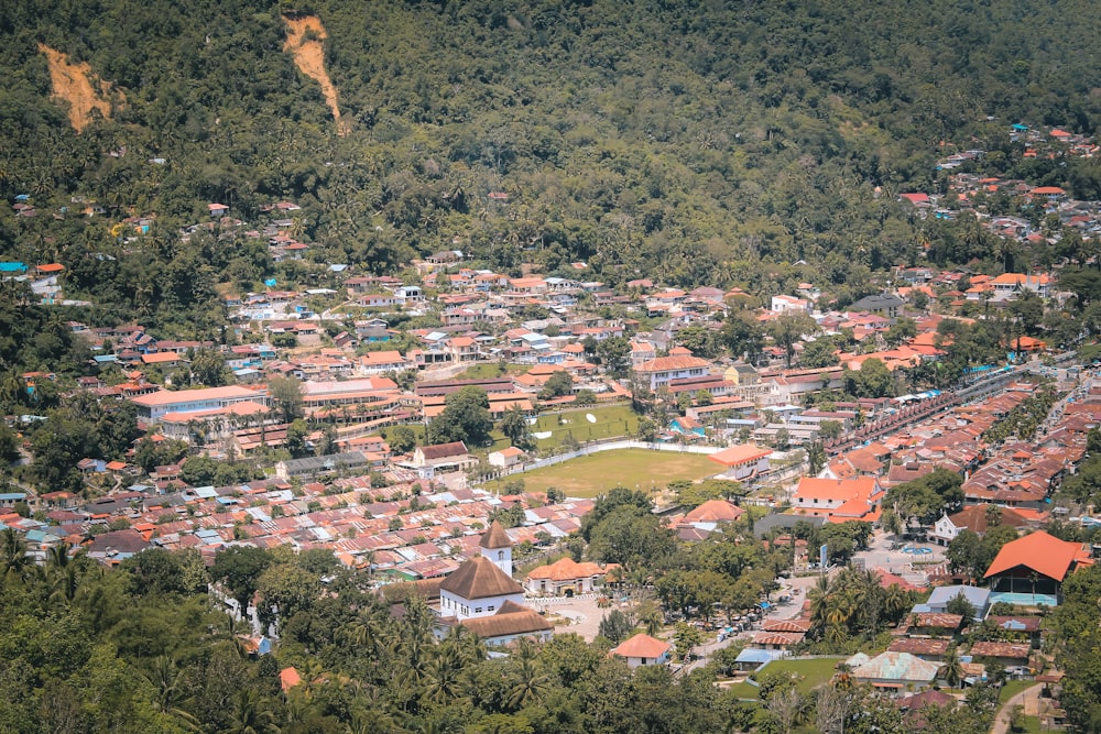 a small village in the middle of a forested area