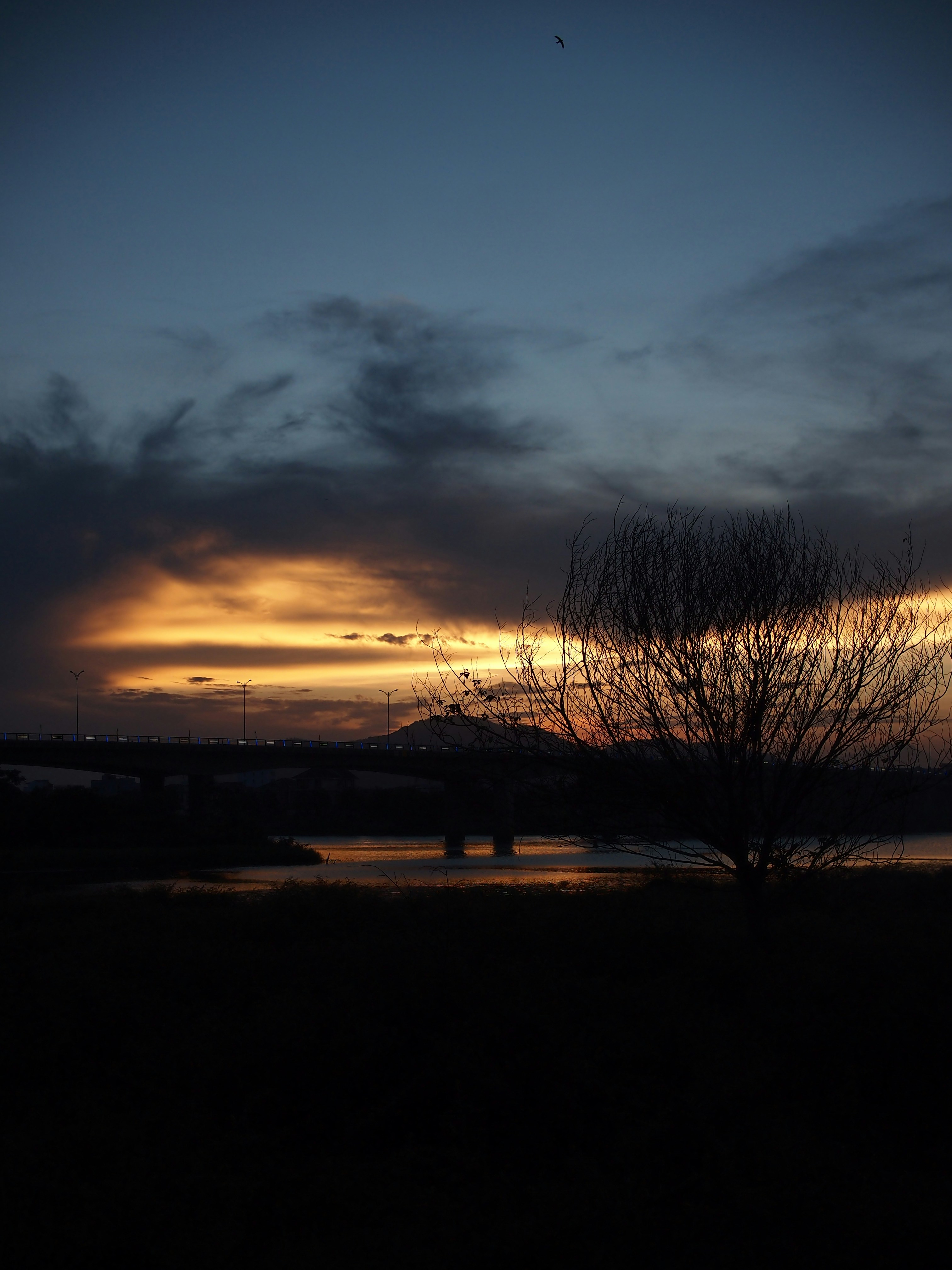 Photo by haimourinho