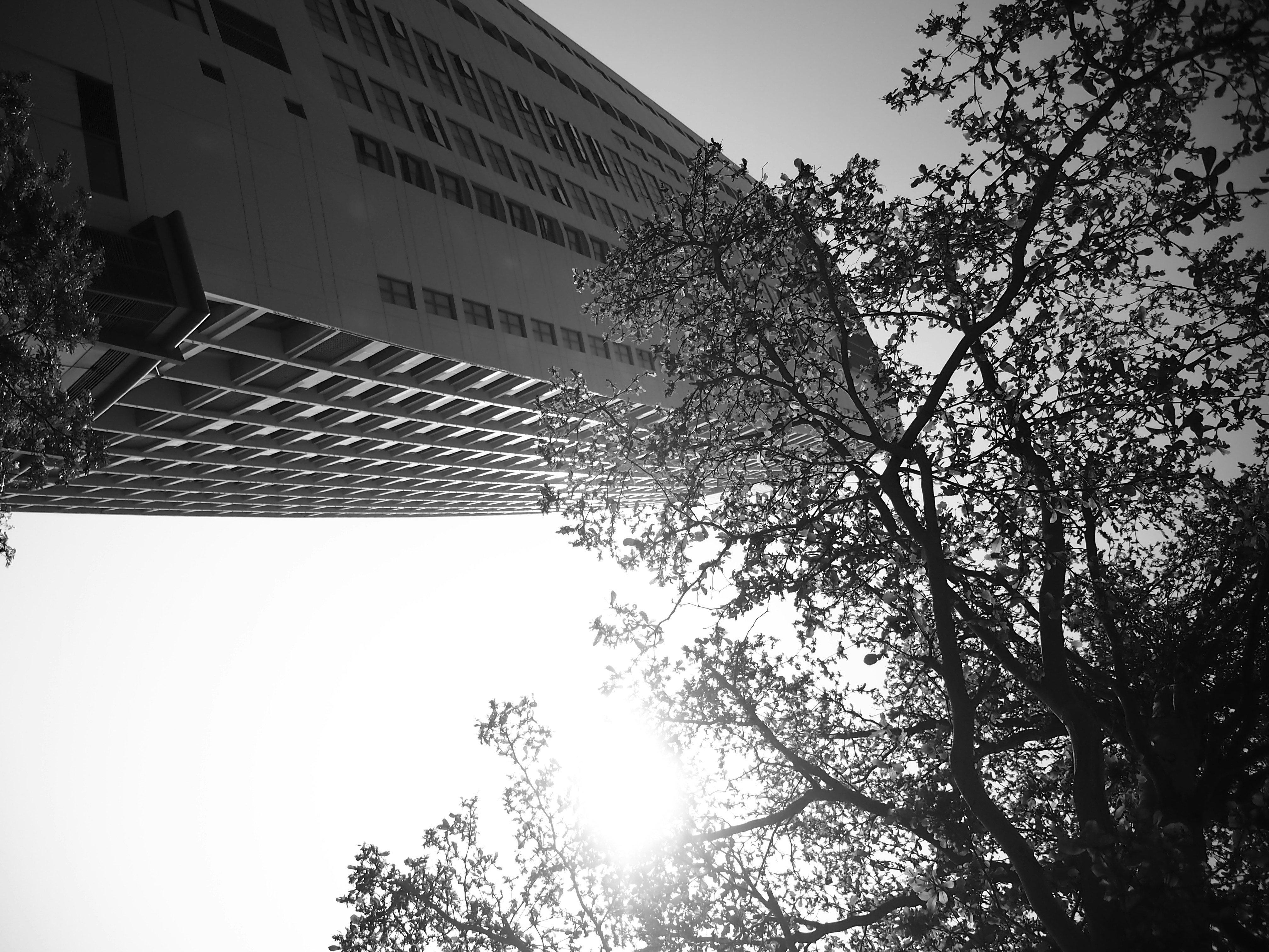 Photo by haimourinho