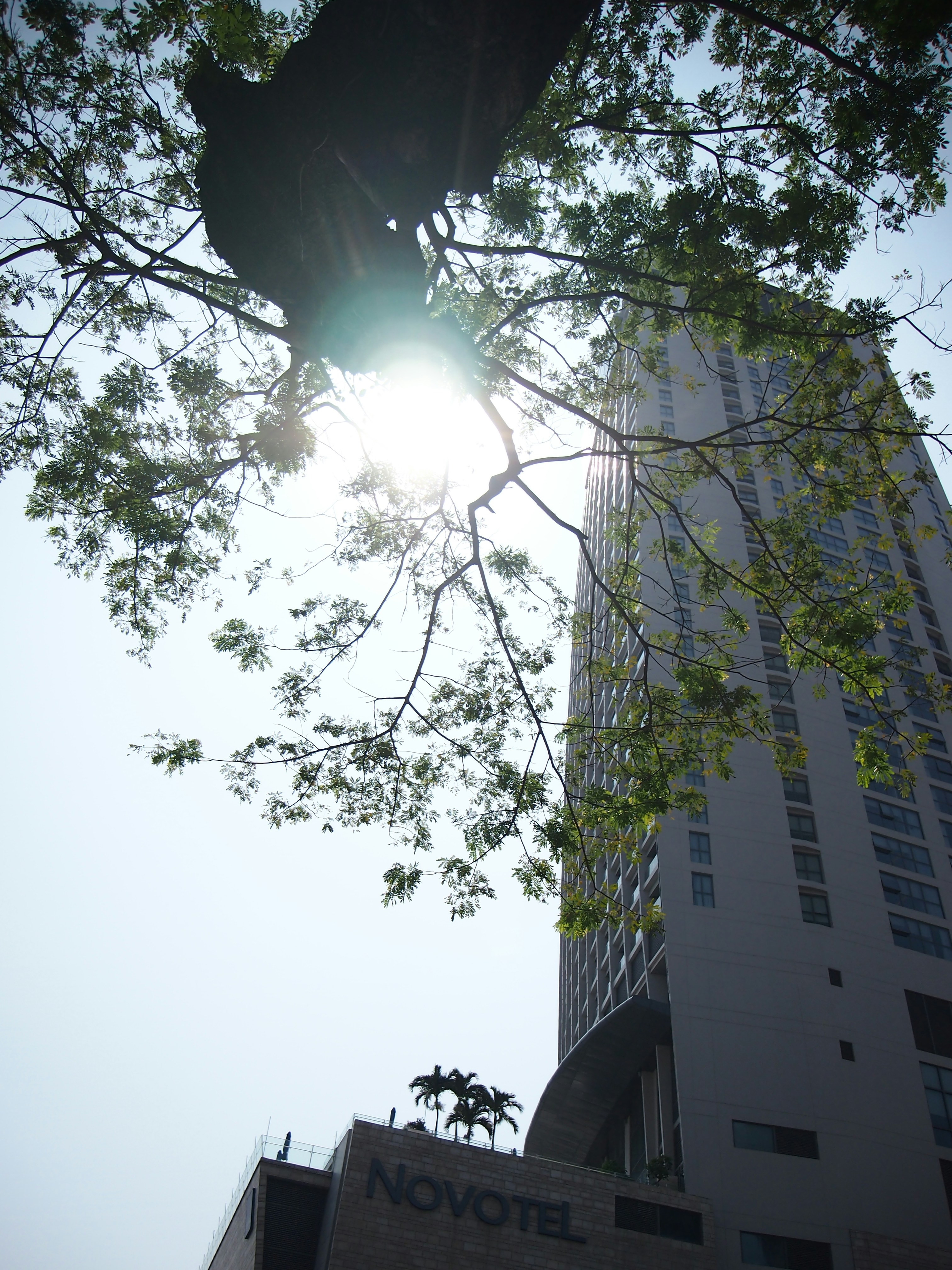 Photo by haimourinho