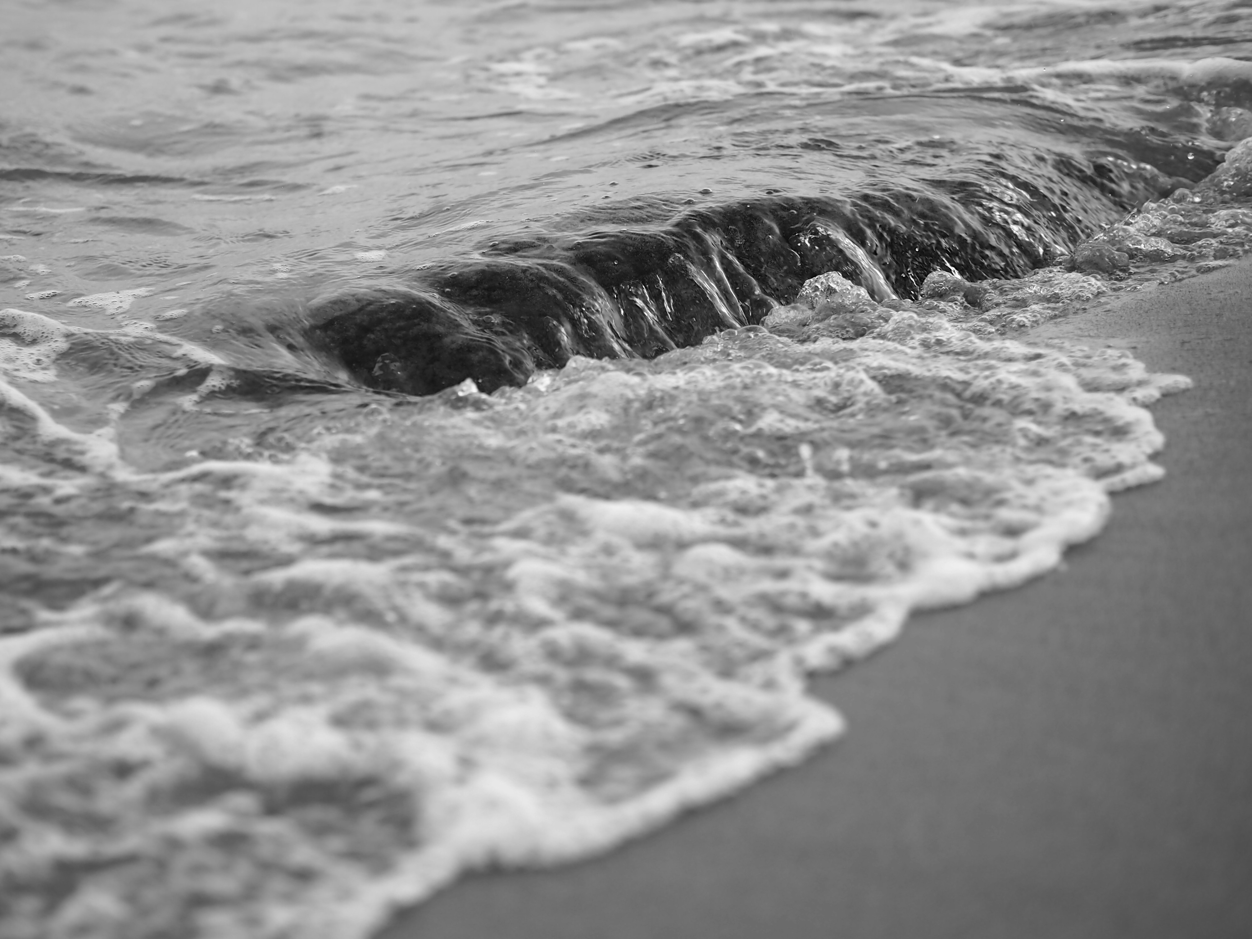 Photo by haimourinho