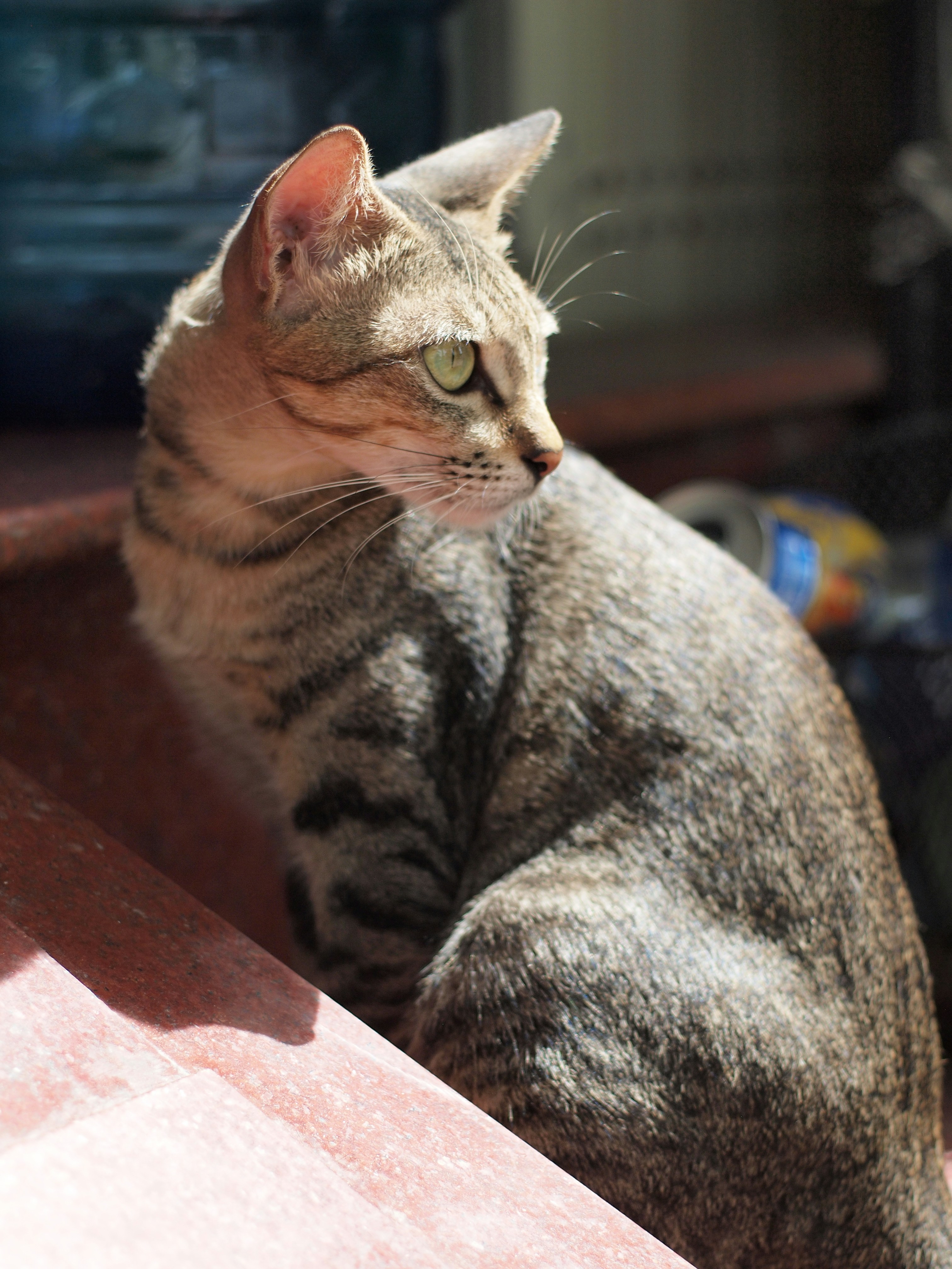 Photo by haimourinho