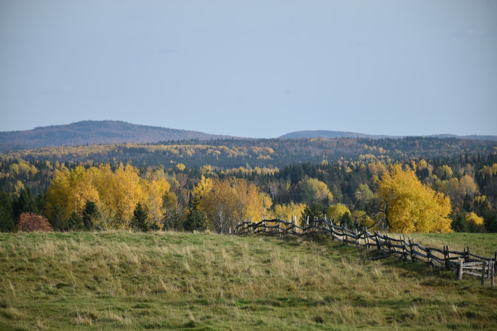 a wooden fence in a grassy field with trees in the background