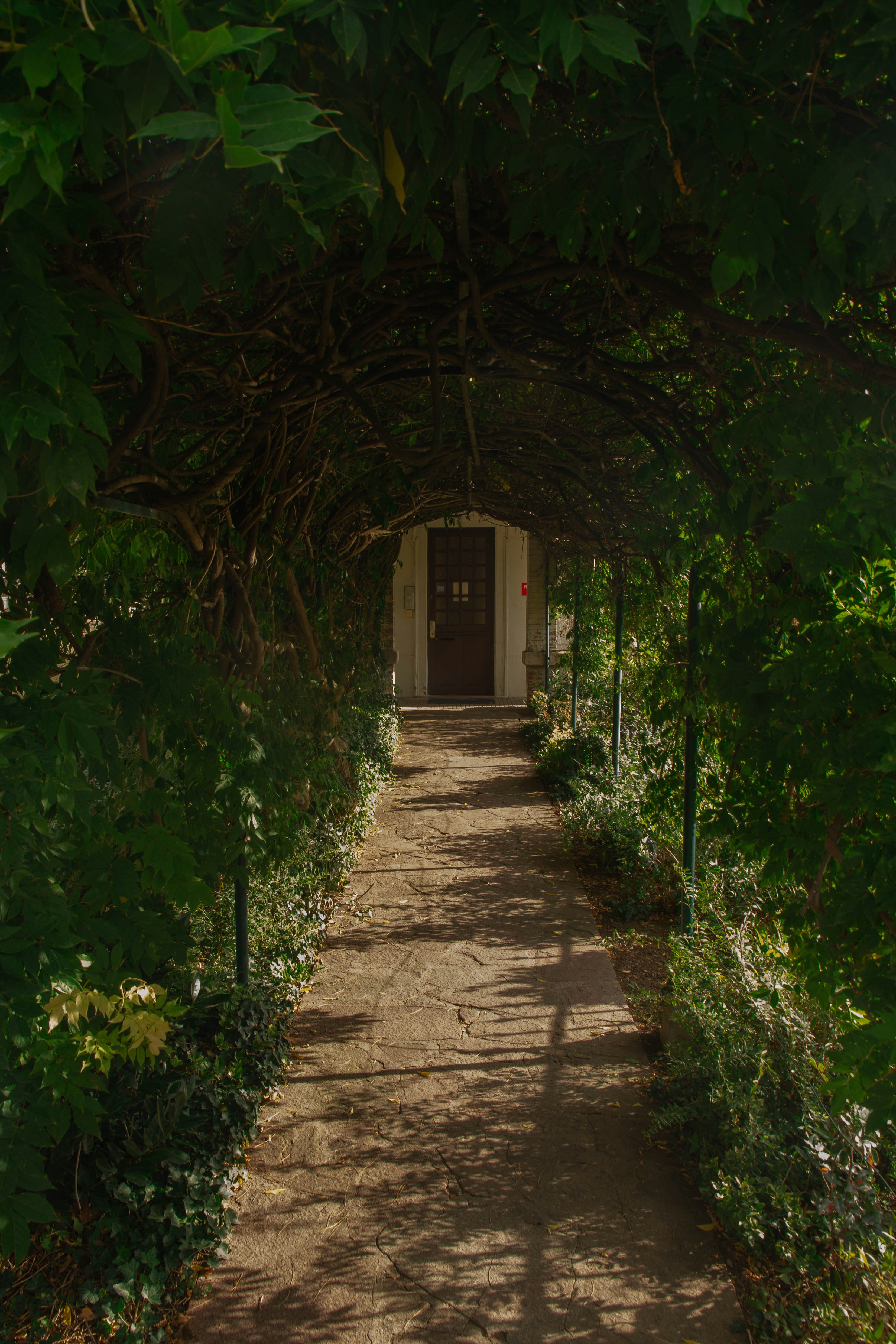 Photo by notevenarose