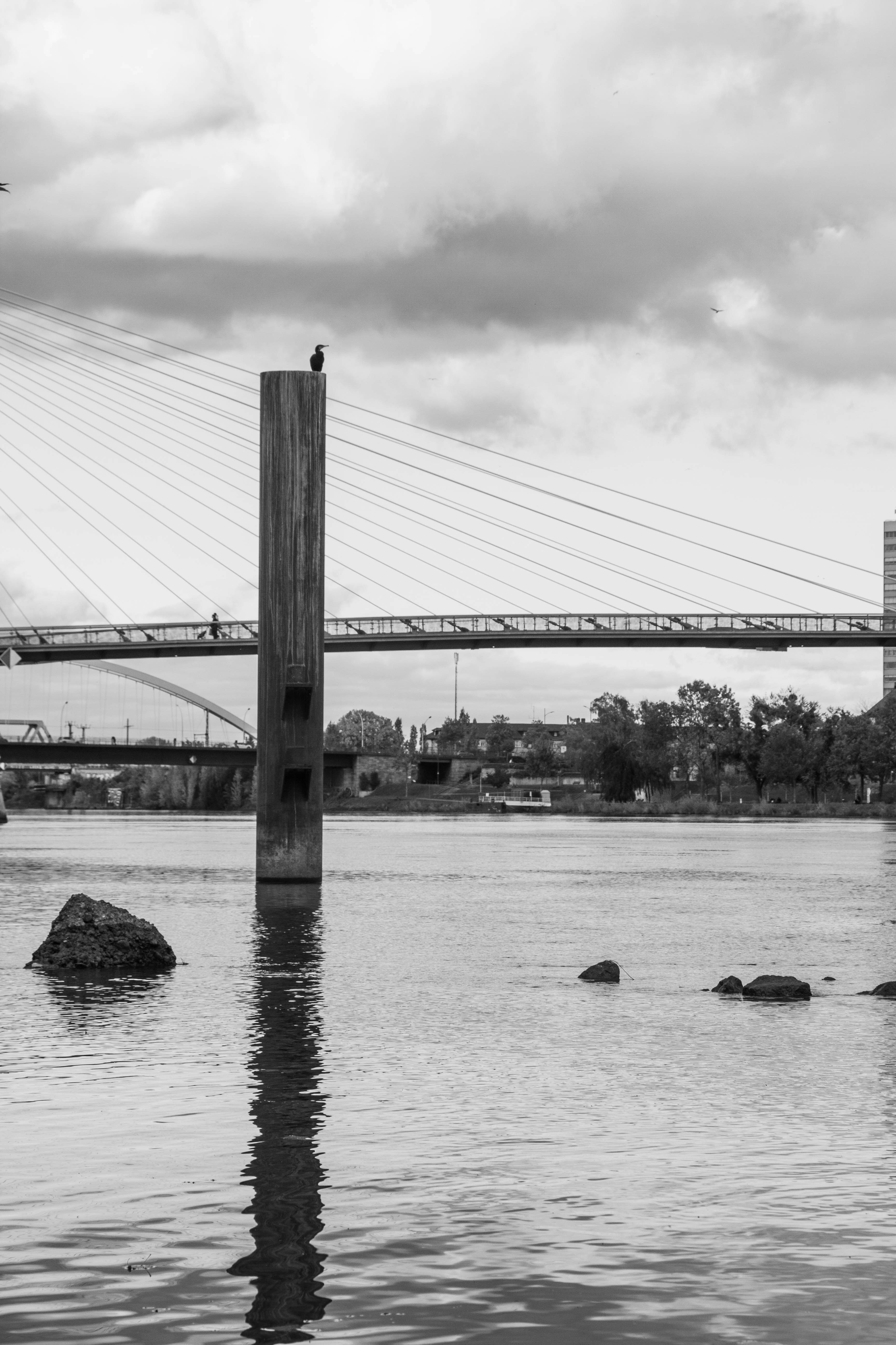 Photo by notevenarose