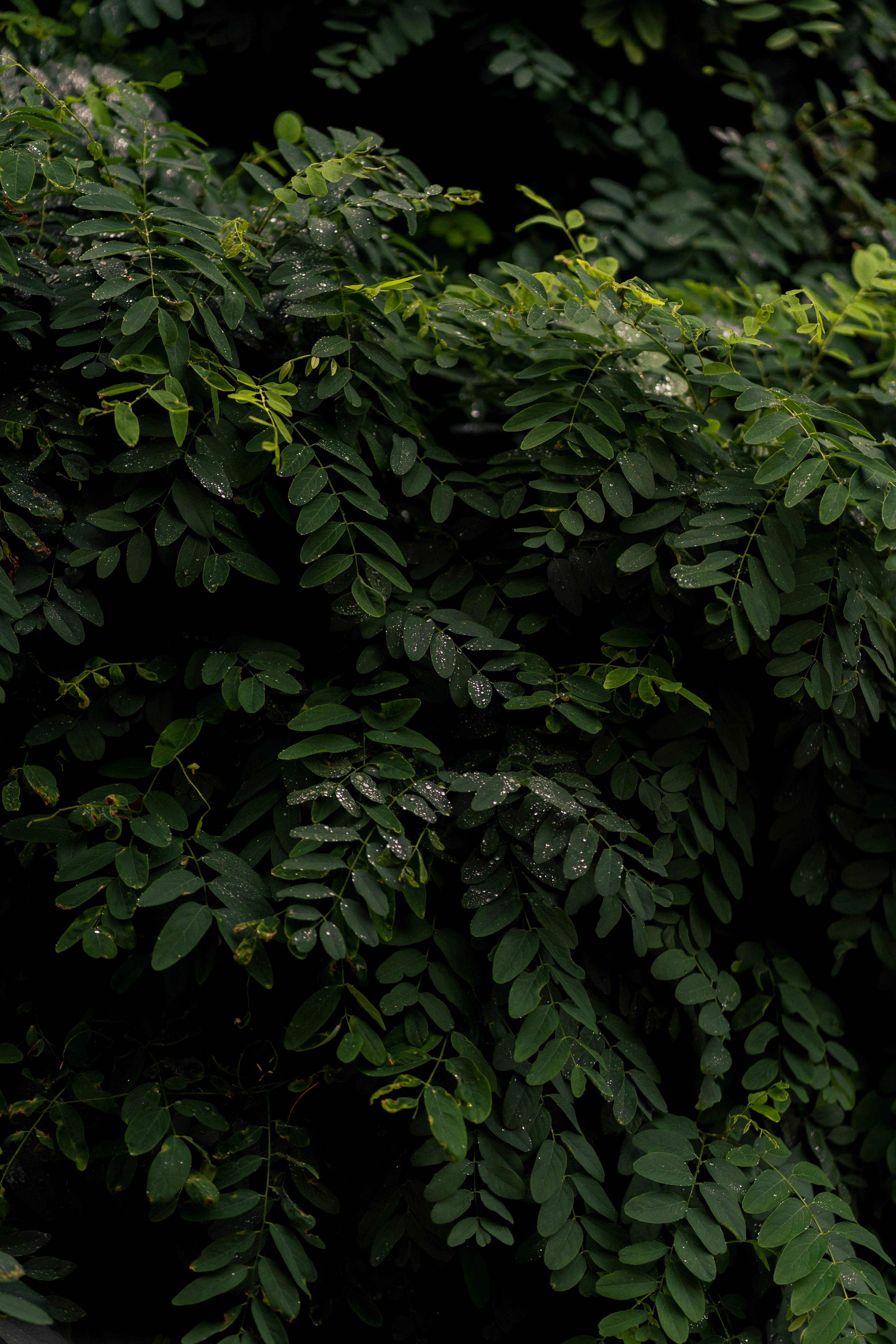 Photo by notevenarose