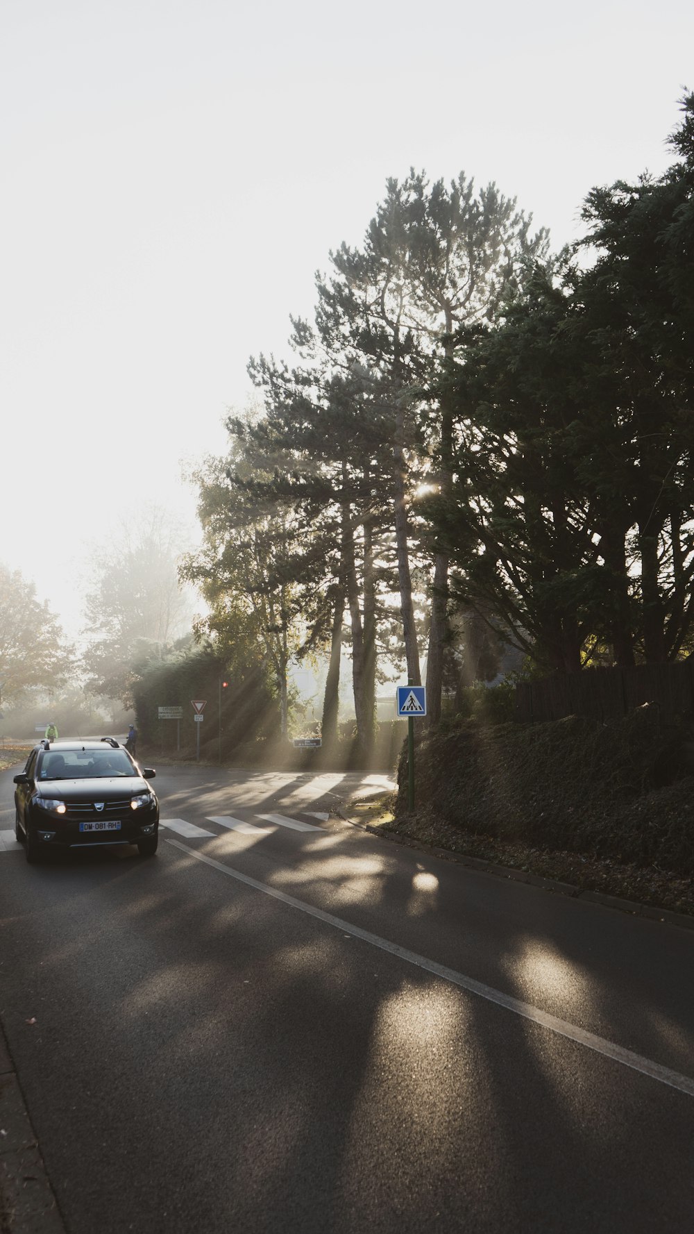 a car driving down a street next to trees