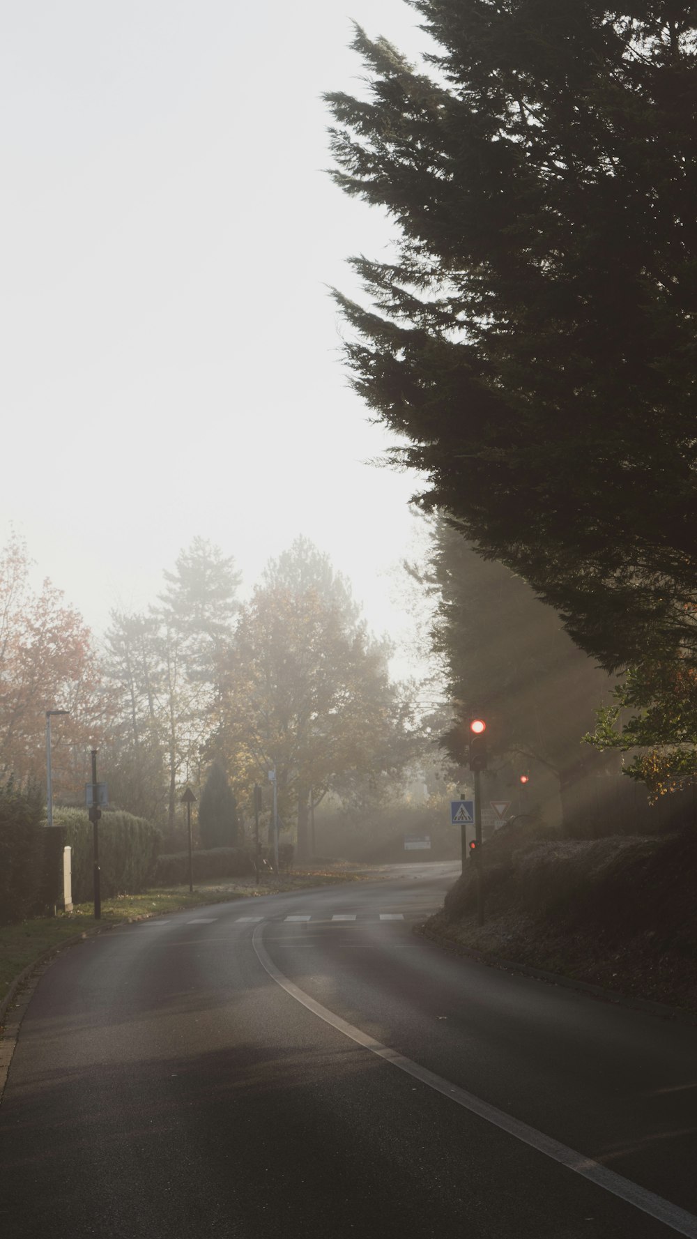 a foggy street with a red traffic light