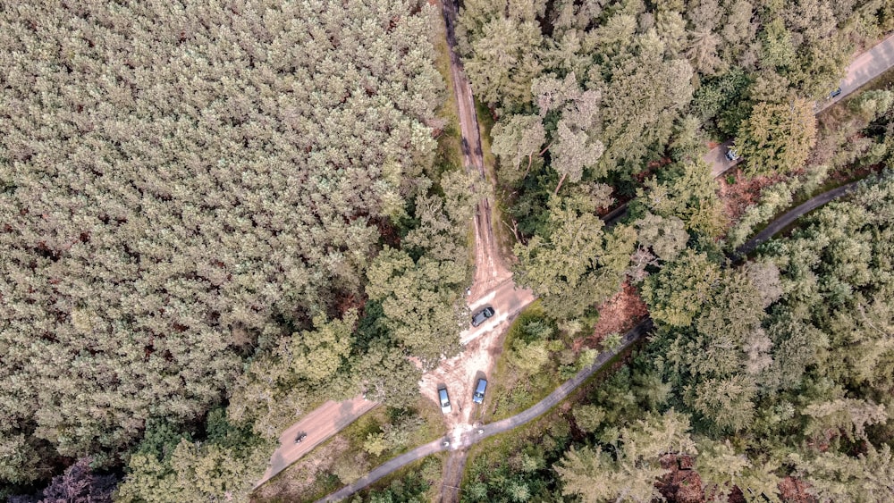 an aerial view of a road surrounded by trees