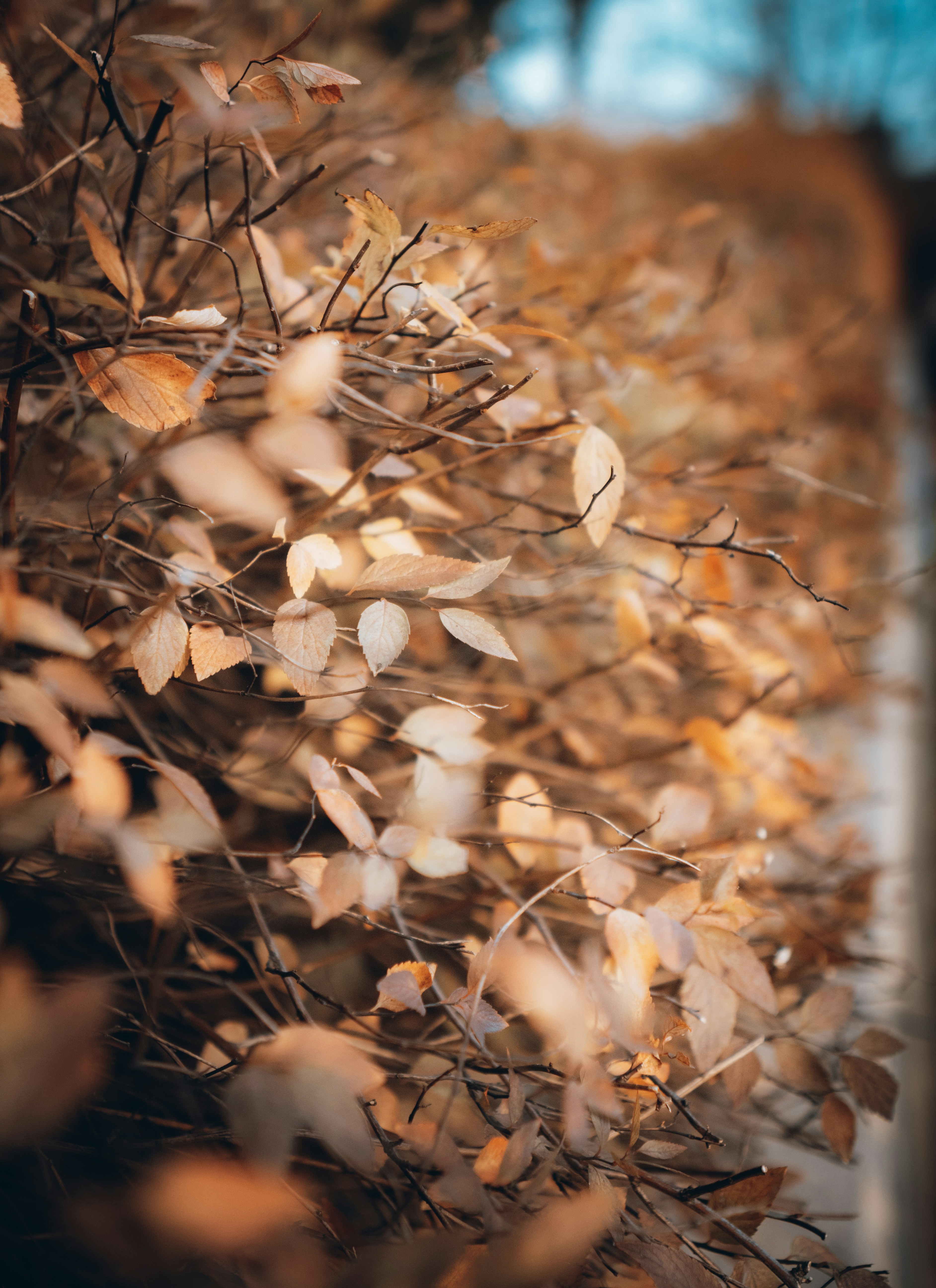 Photo by belhaiza_amine5