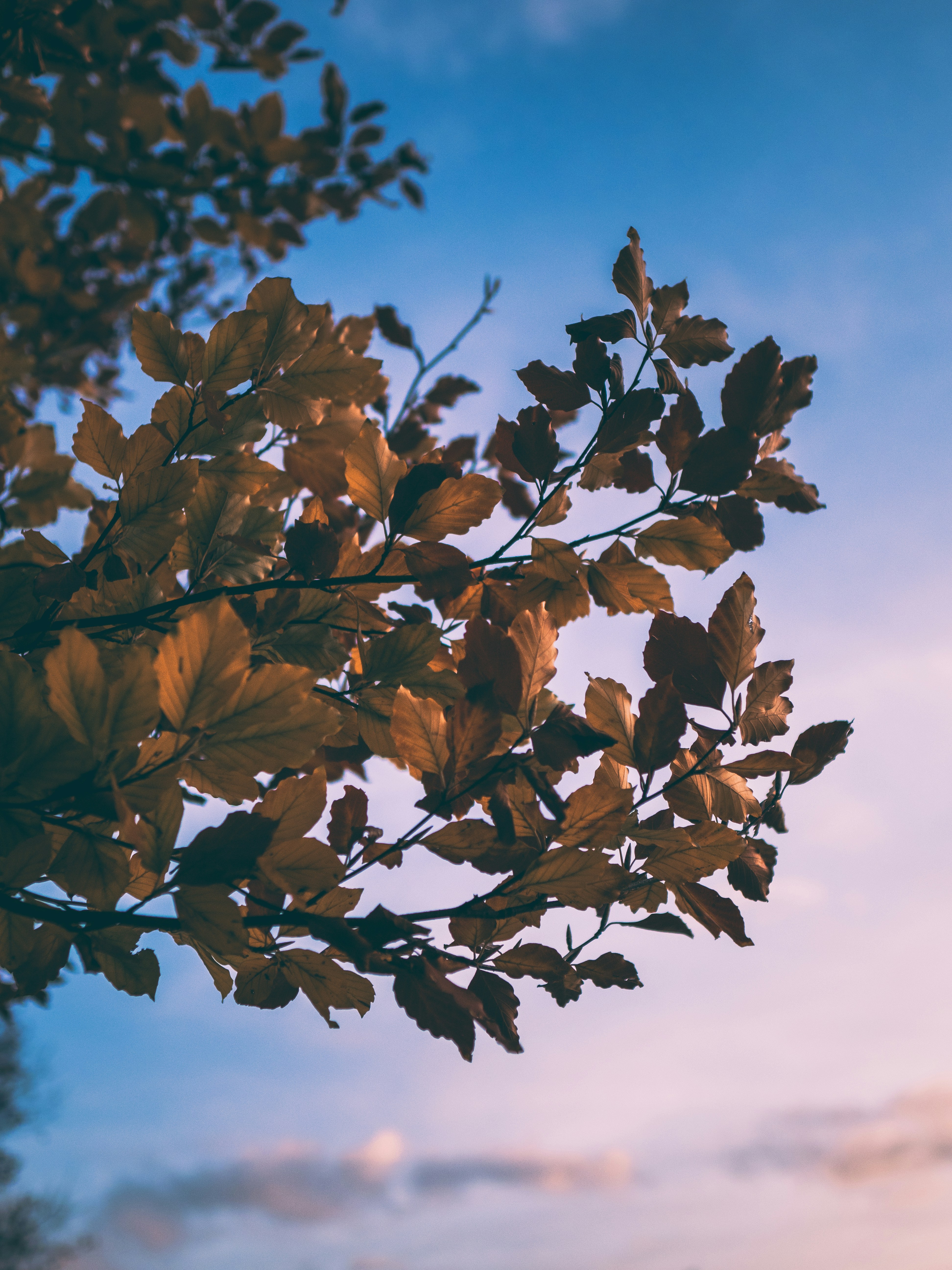 Photo by belhaiza_amine5