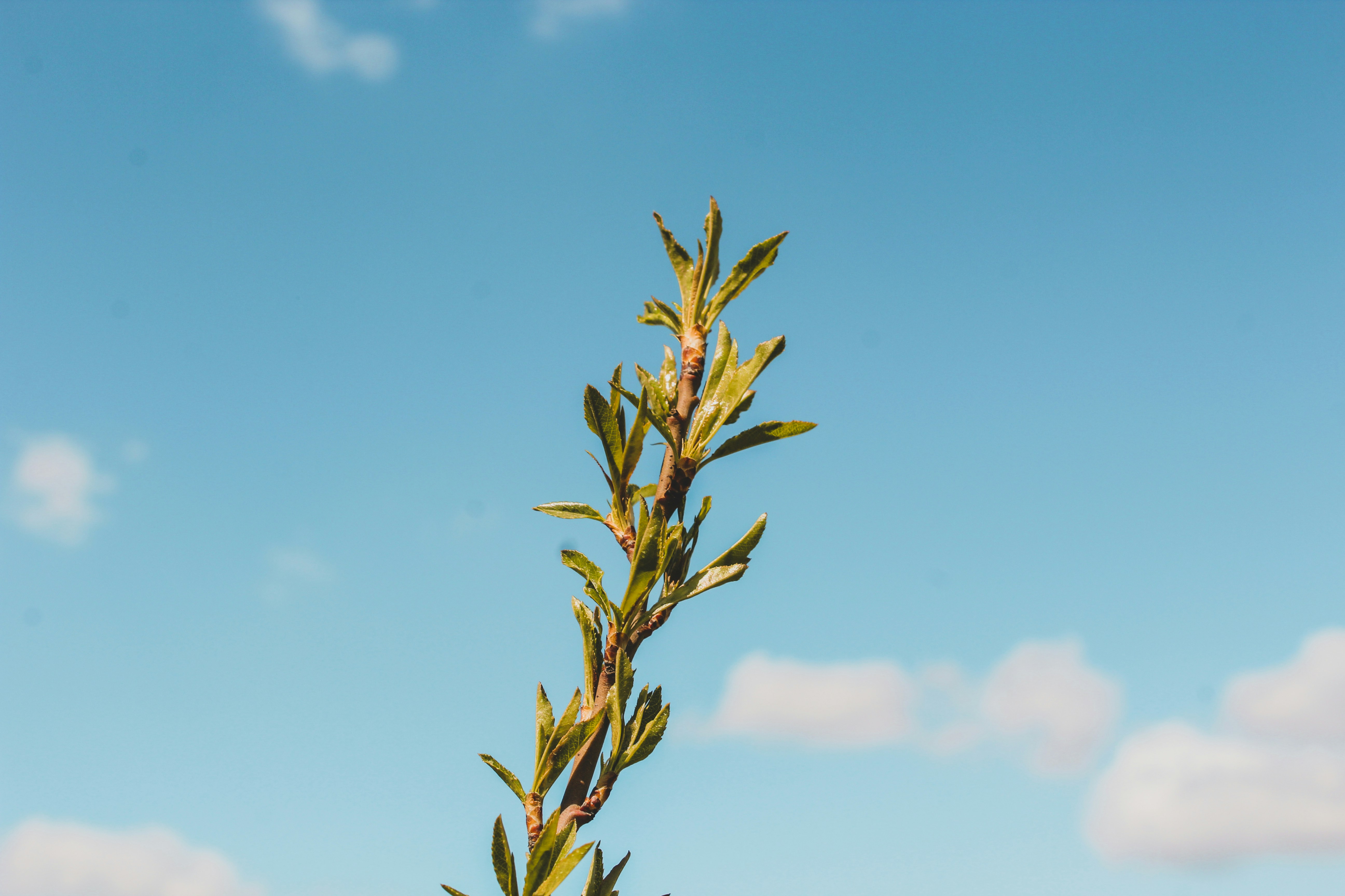 Photo by czapp_arpad