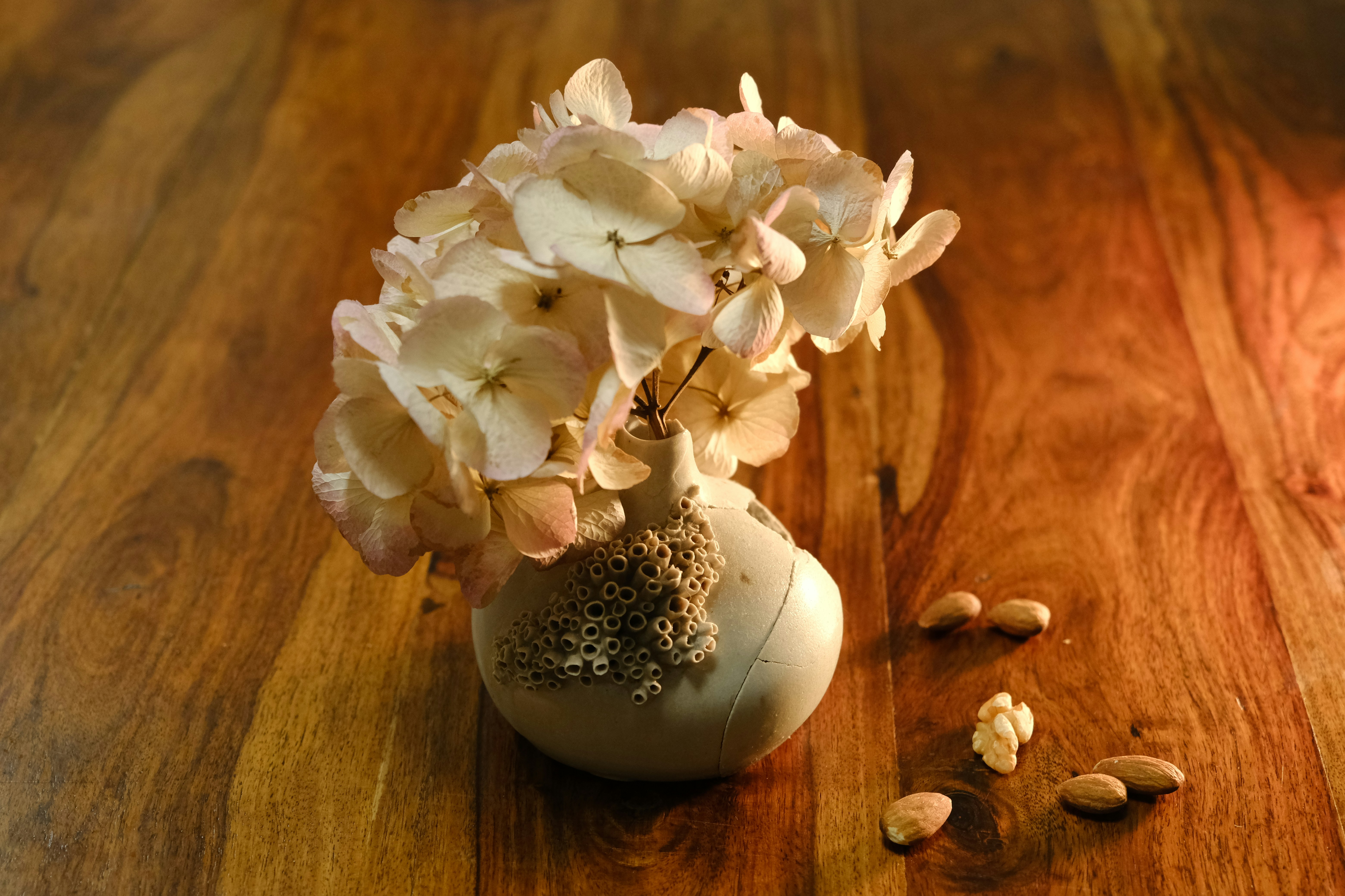 Photo by tassilogroeper