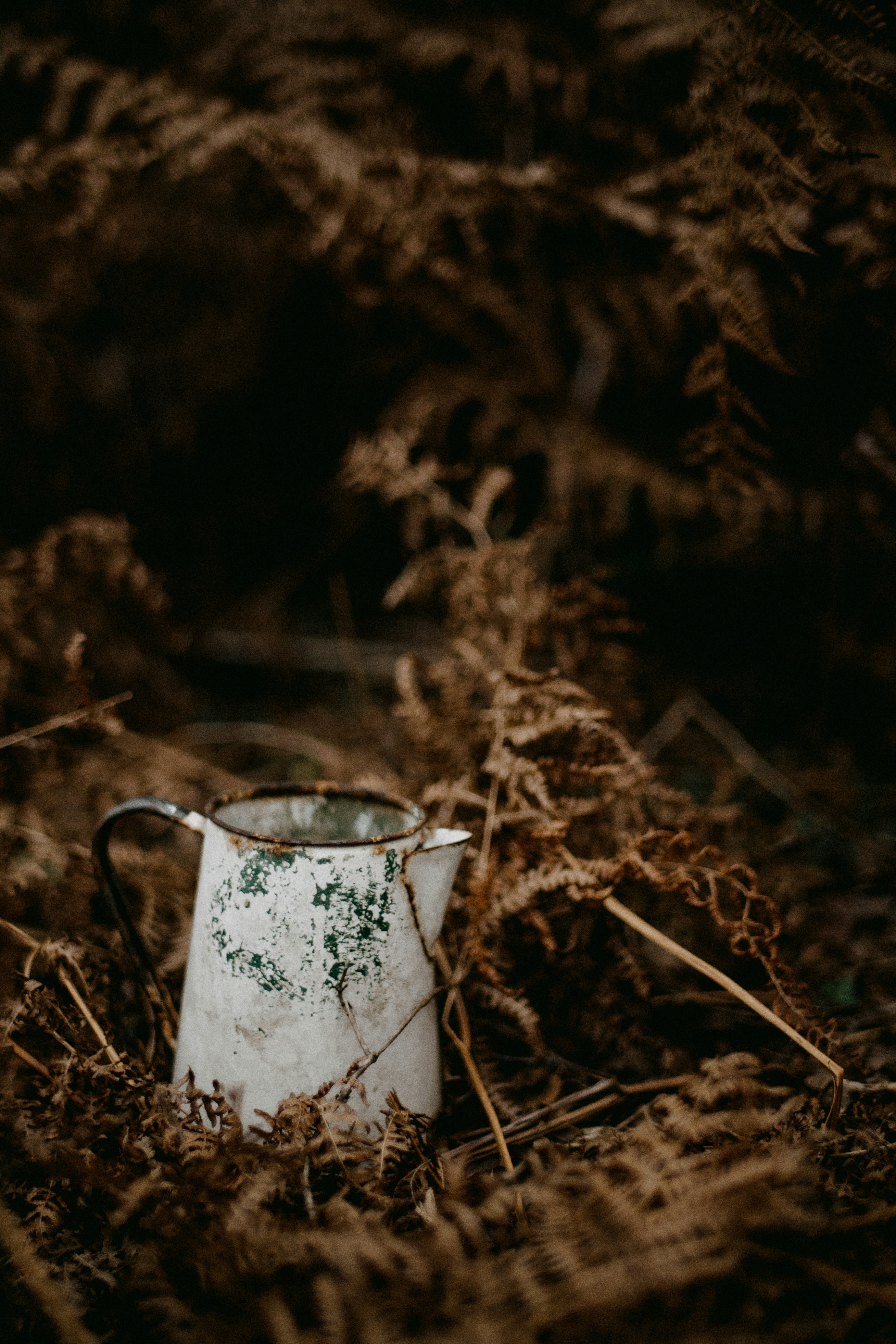a white pitcher sitting in the middle of a field