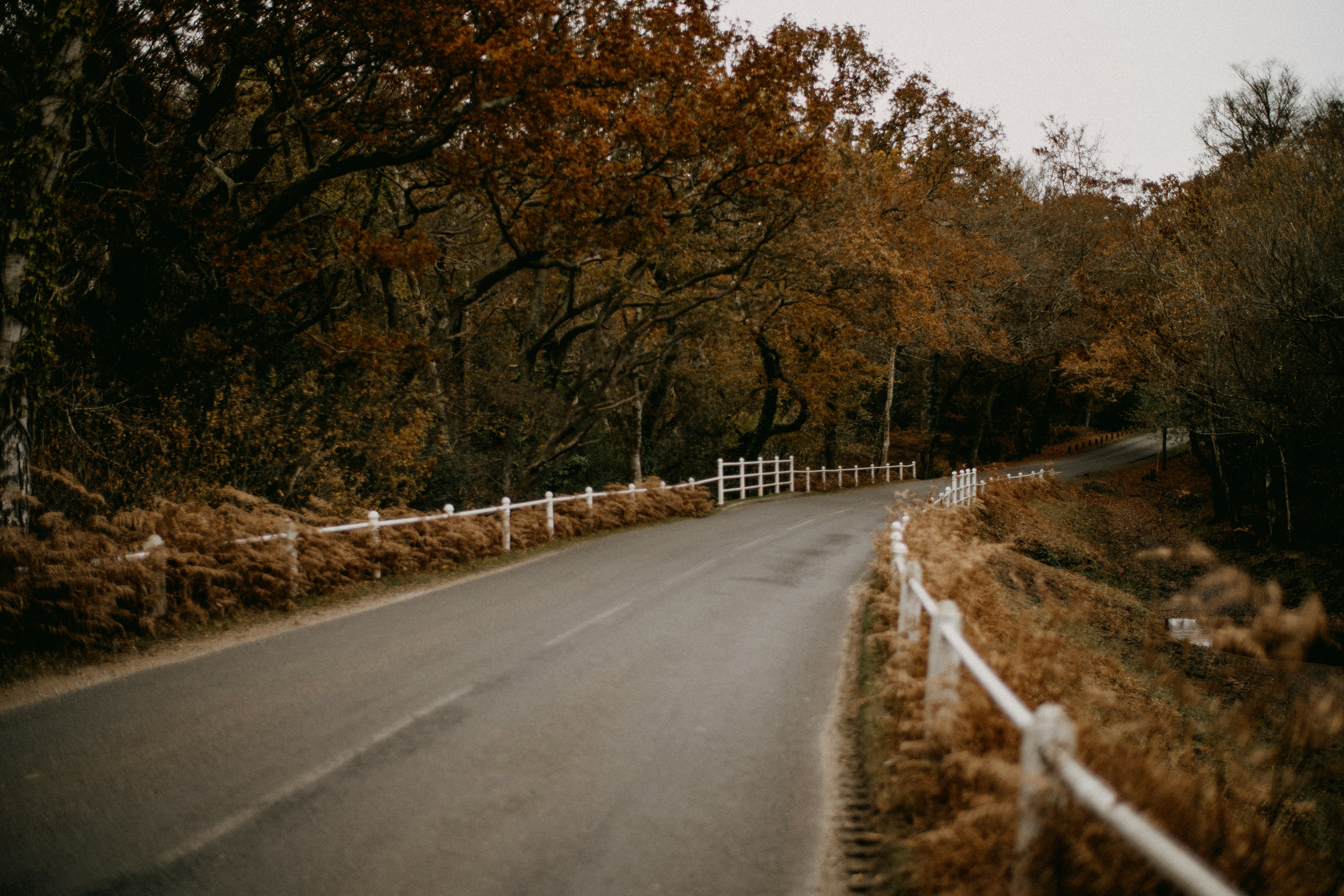 Photo by anniespratt