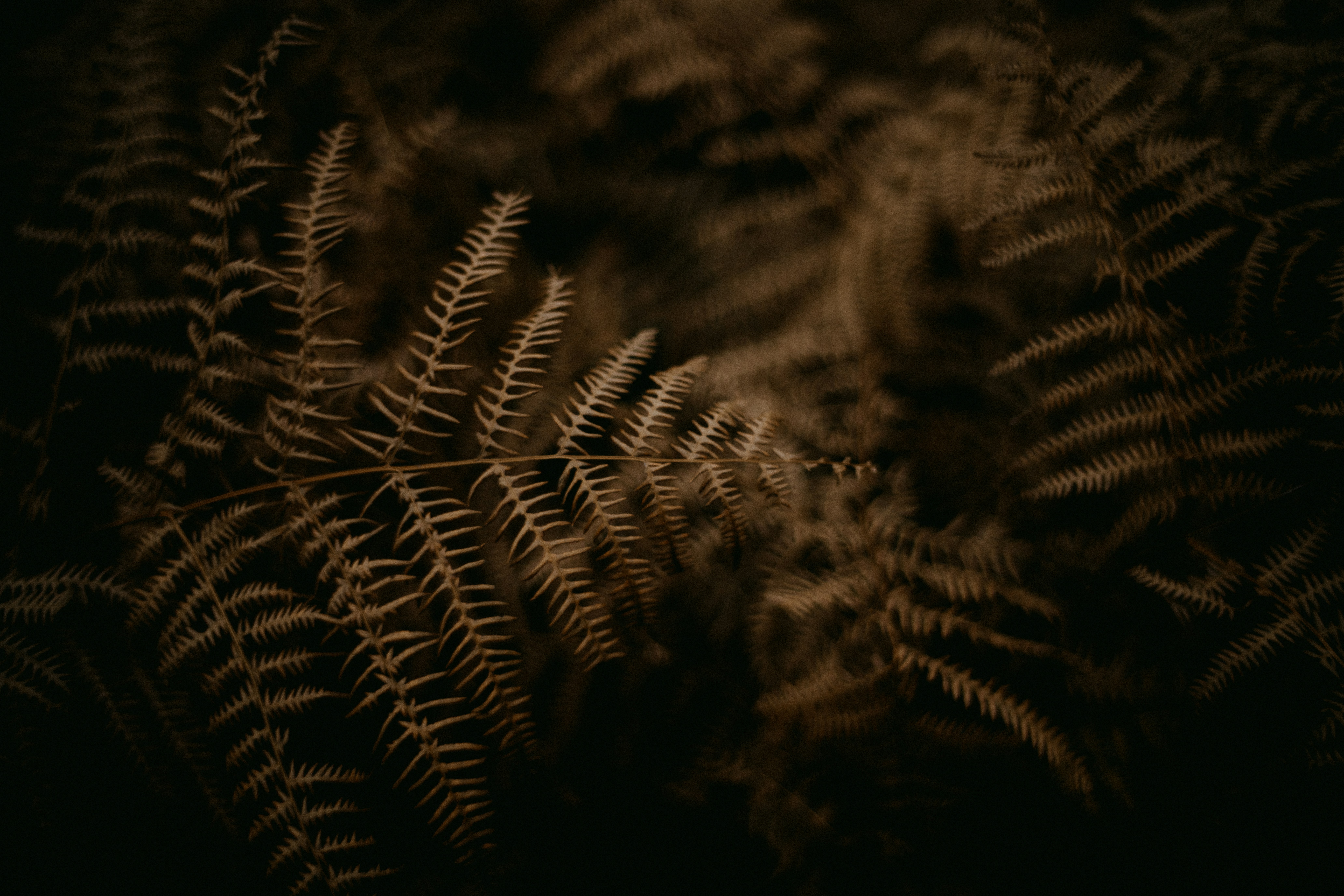 Photo by anniespratt