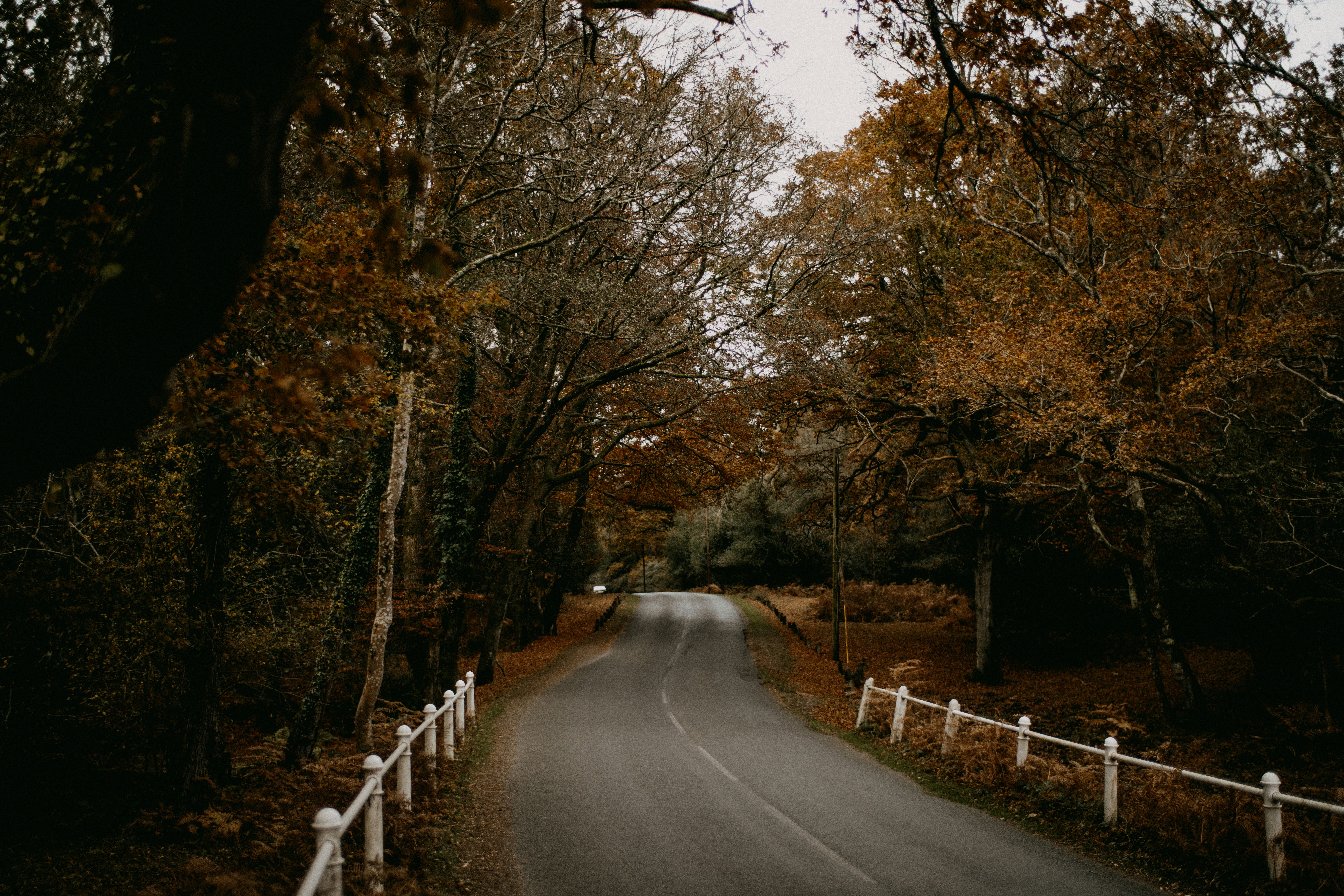 Photo by anniespratt