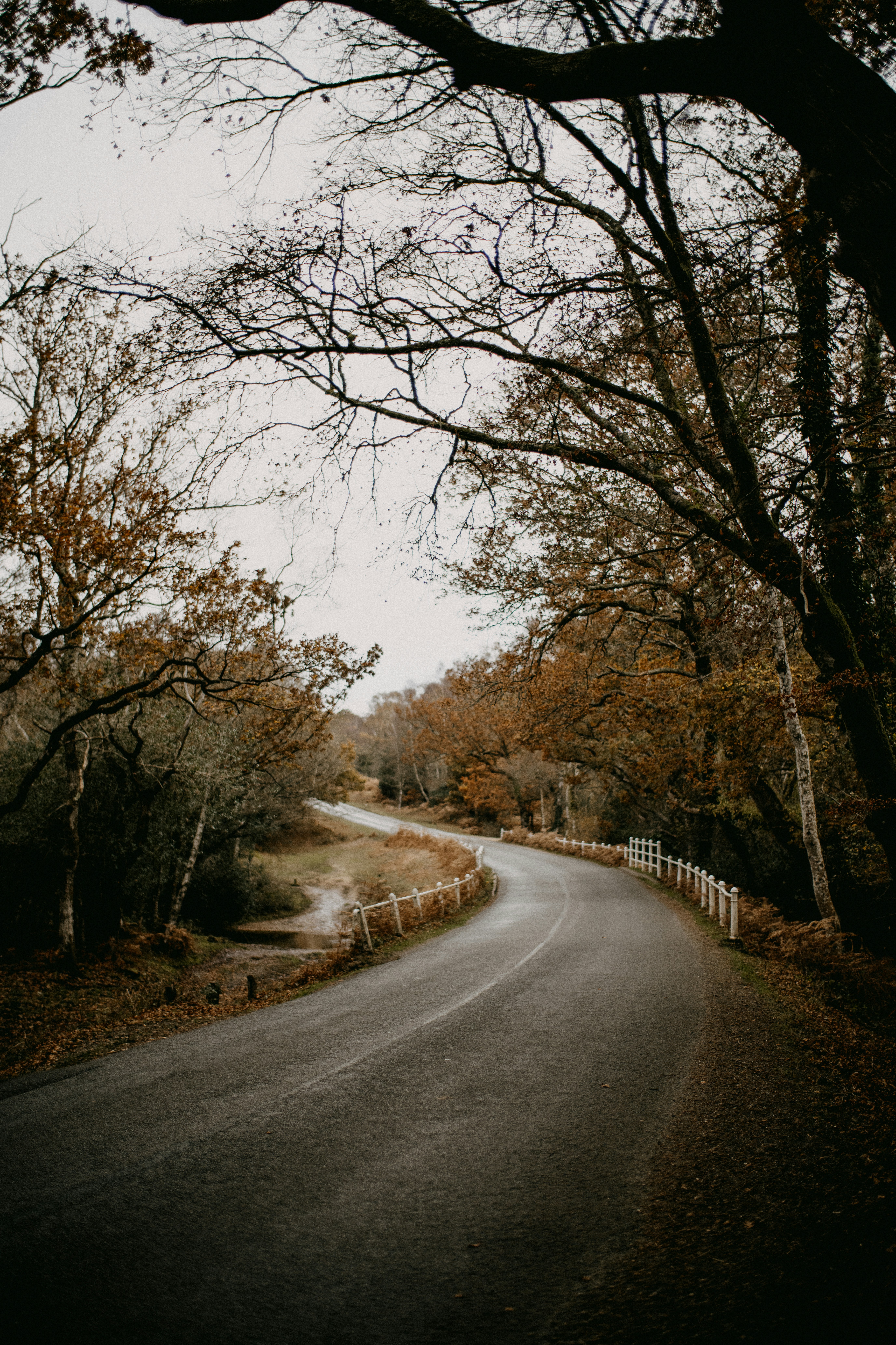 Photo by anniespratt