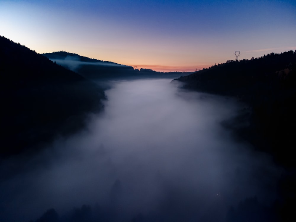 a foggy river in the middle of a forest