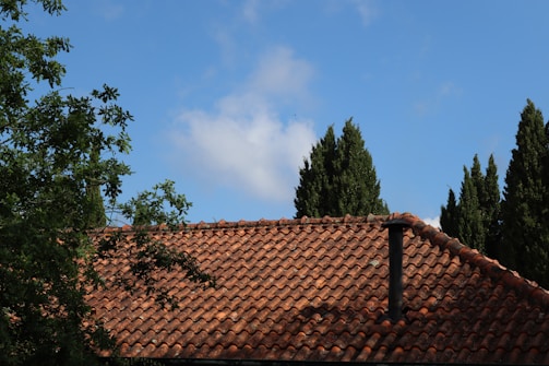 A terracotta roof with a chimney is framed by green trees on either side, under a bright blue sky with wispy clouds.