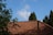 A terracotta roof with a chimney is framed by green trees on either side, under a bright blue sky with wispy clouds.