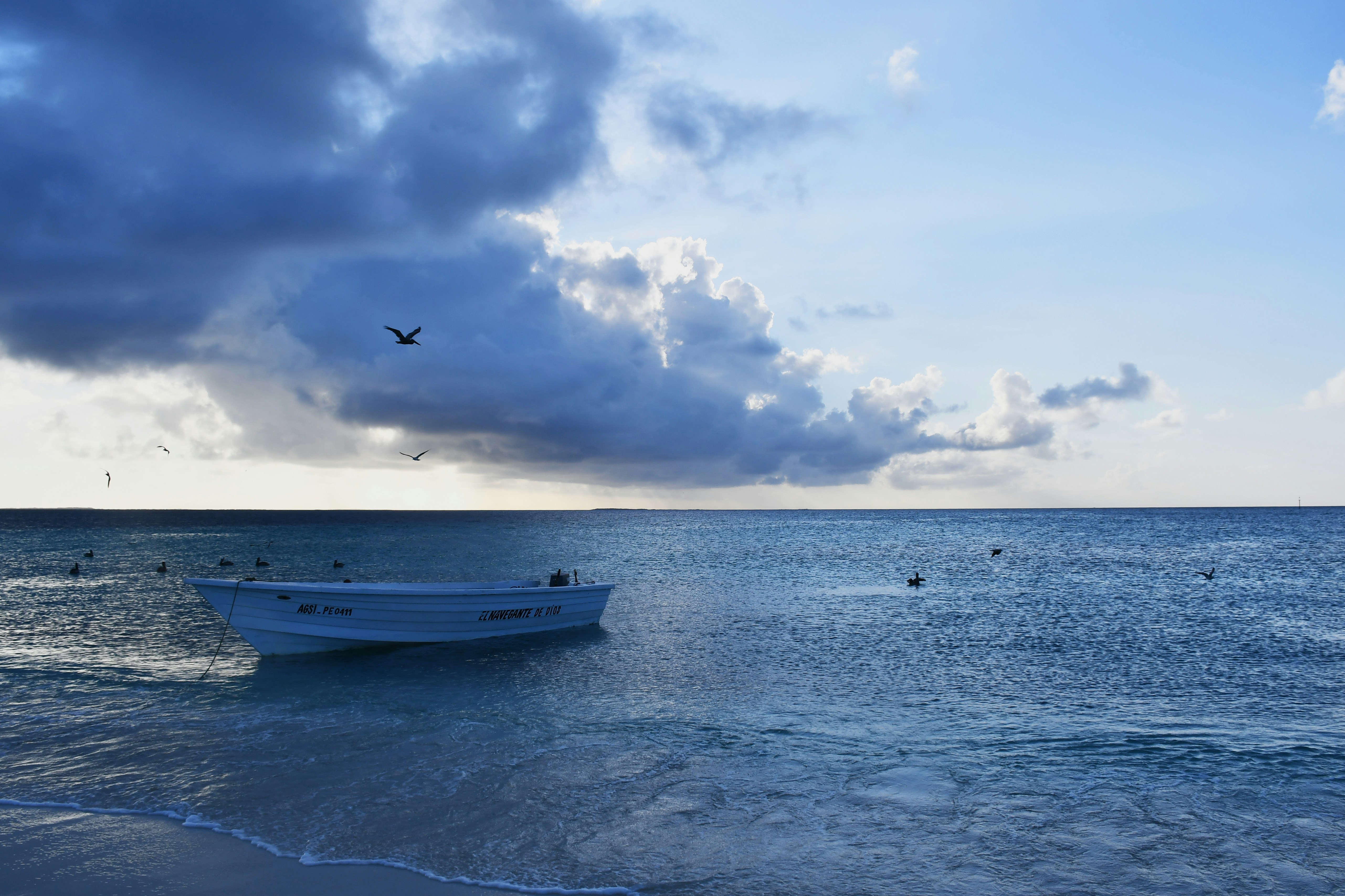 Photo by legallyguaricho