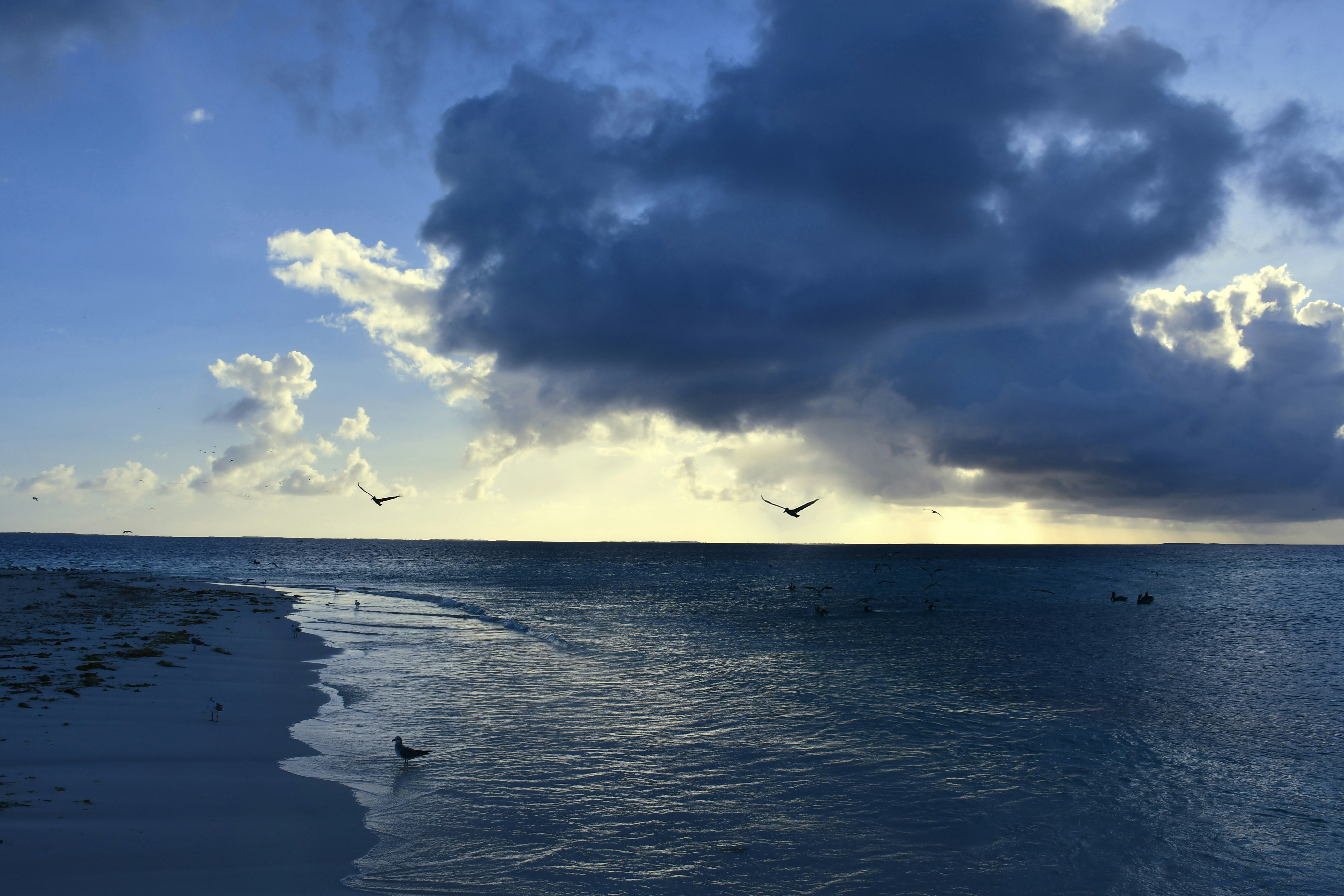 Photo by legallyguaricho