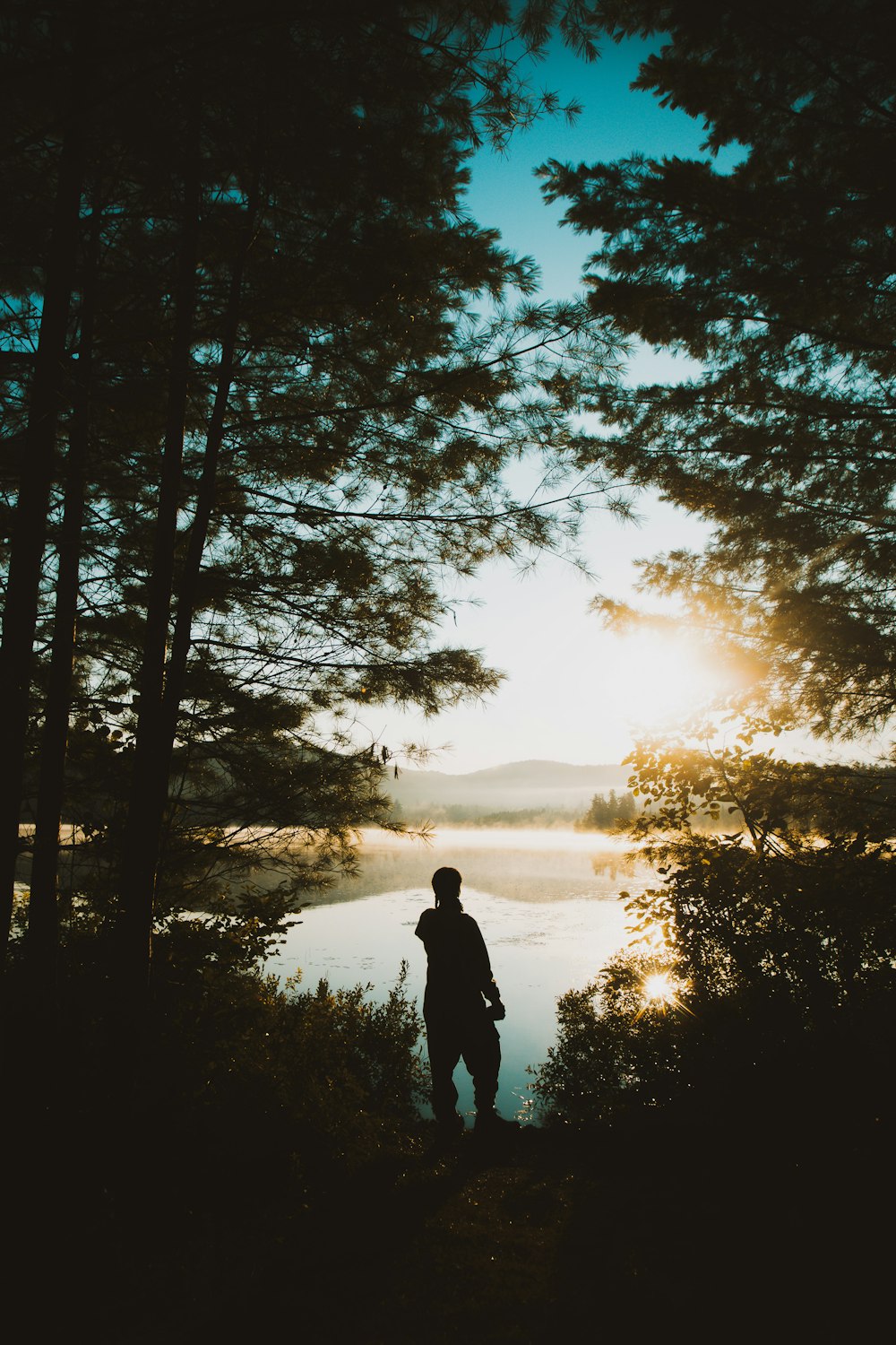 a person standing in the woods looking at the water