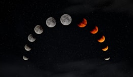 faces lunares