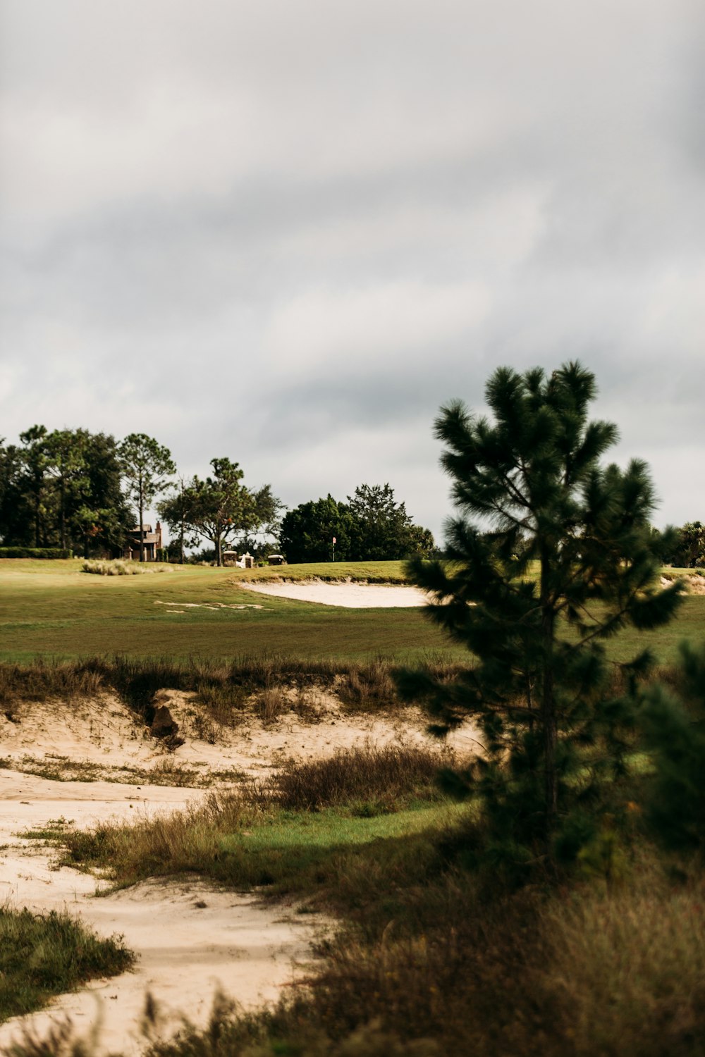 Blick auf einen Golfplatz aus der Ferne