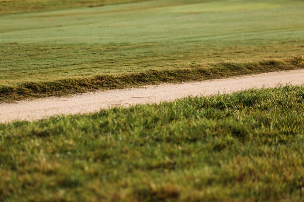 a man riding a horse down a dirt road