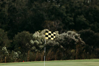 a yellow and black checkered flag on a golf course